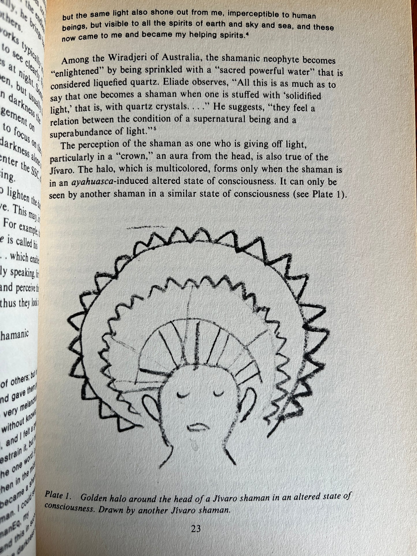 The Way of the Shaman - Michael Harner