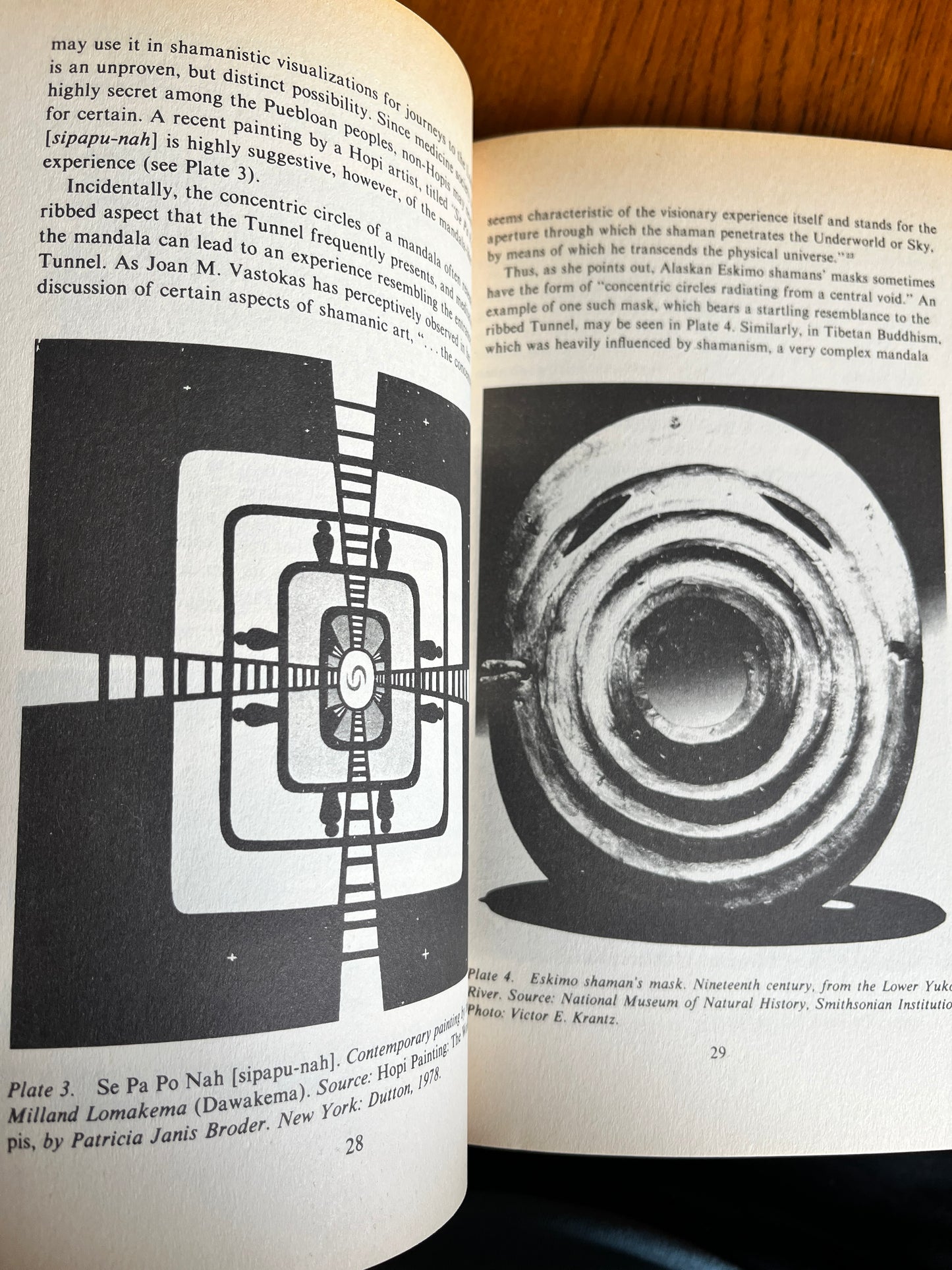 The Way of the Shaman - Michael Harner