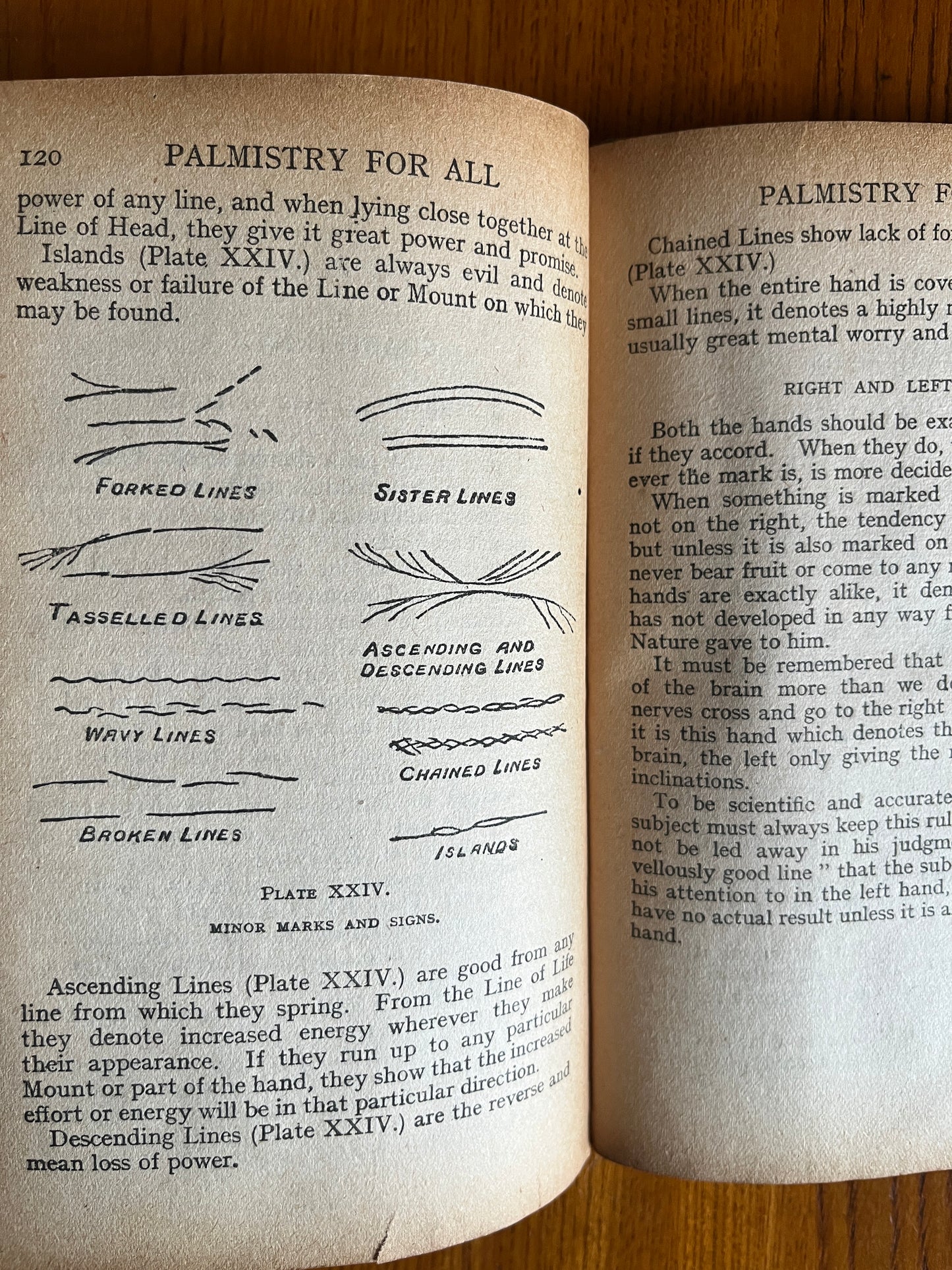 Cheiro’s Palmistry For All