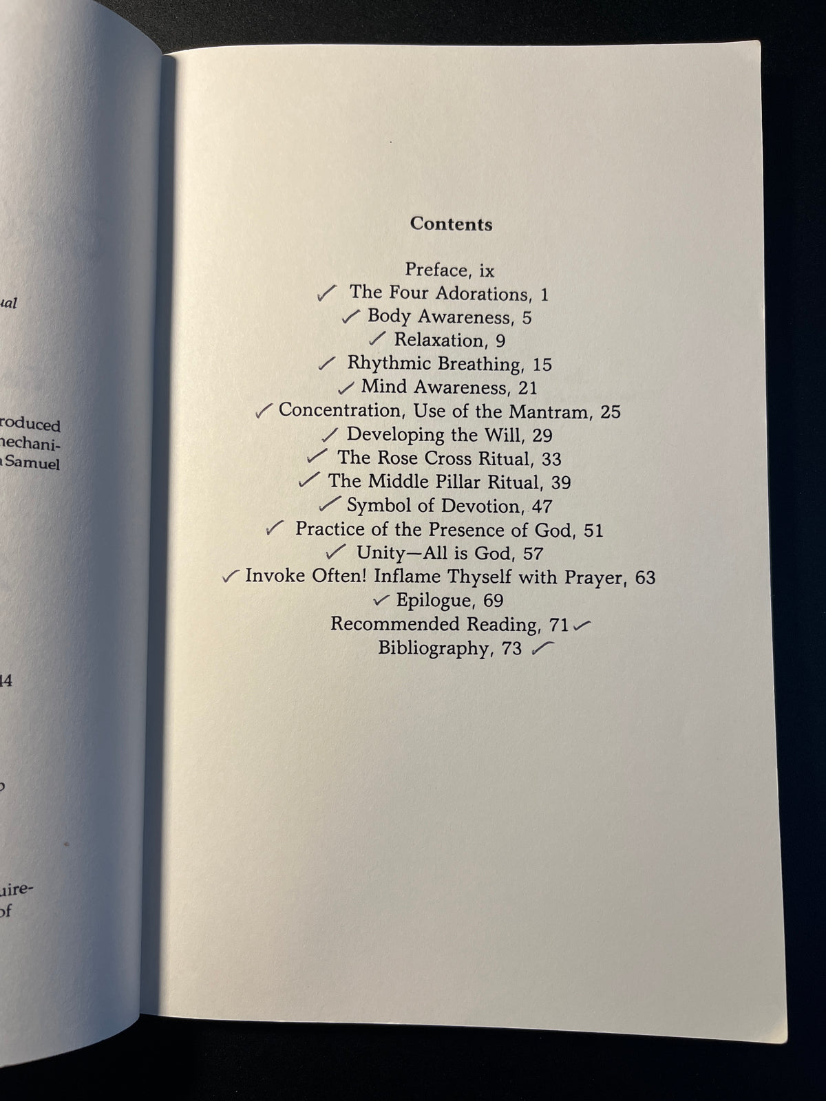 The One Year Manual: Twelve Steps to Spiritual Enlightenment - Israel Regardie