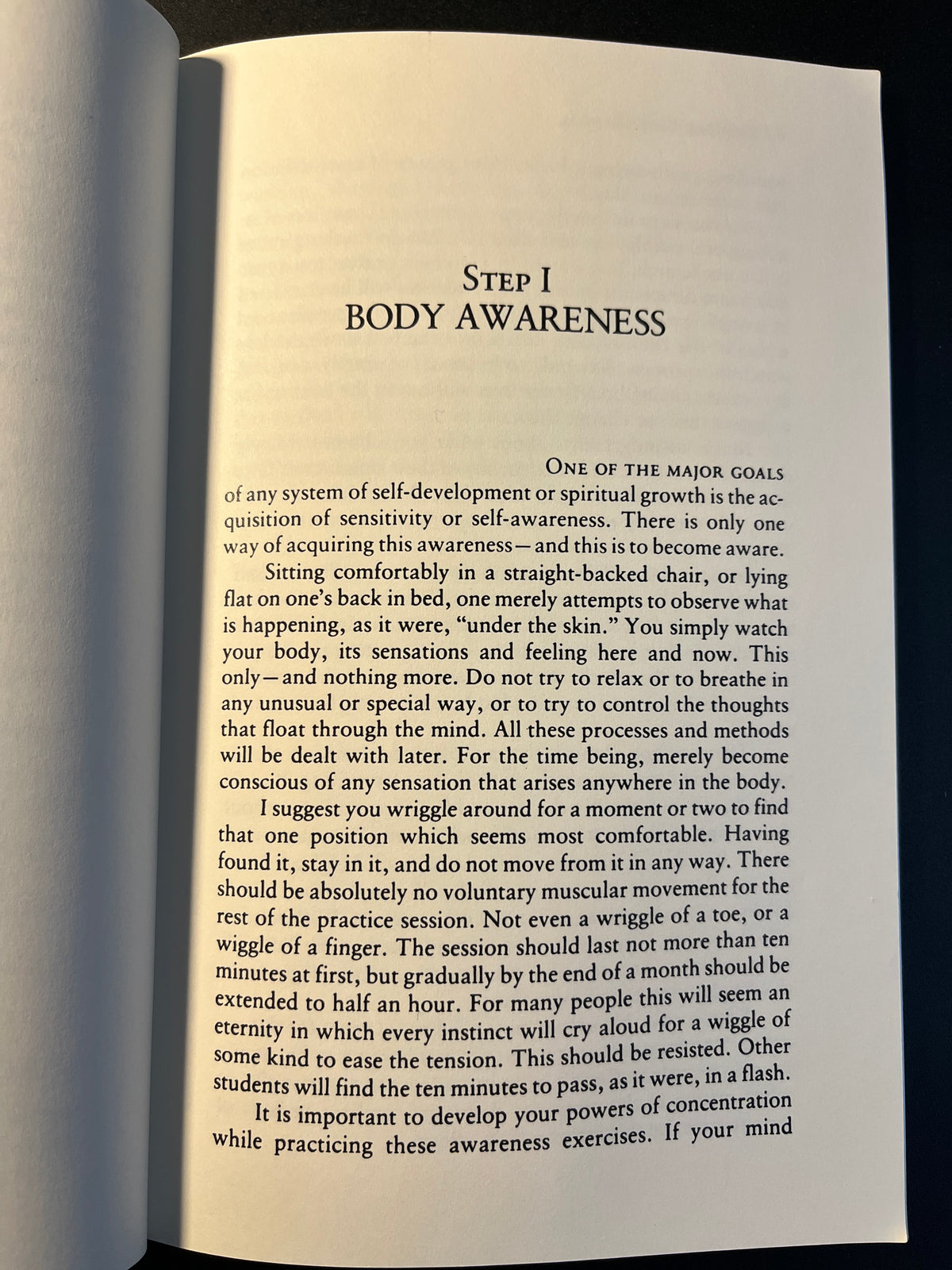 The One Year Manual: Twelve Steps to Spiritual Enlightenment - Israel Regardie