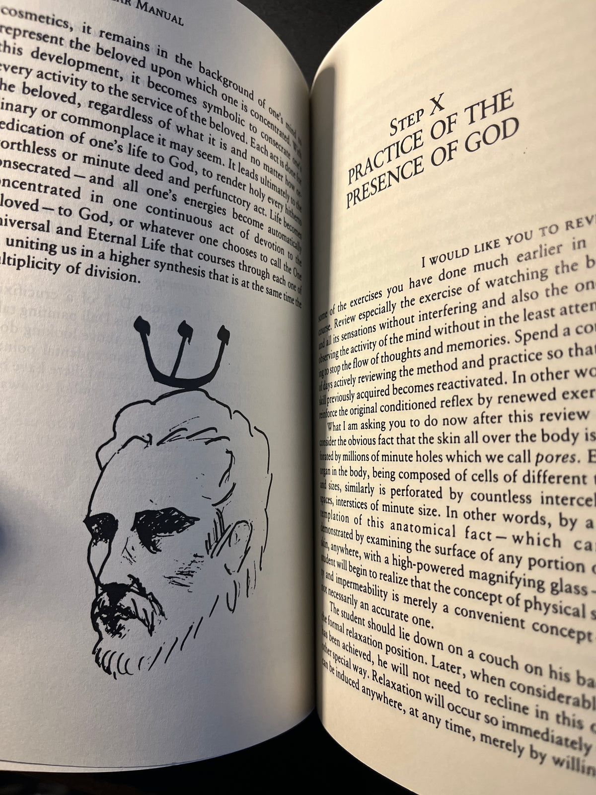 The One Year Manual: Twelve Steps to Spiritual Enlightenment - Israel Regardie