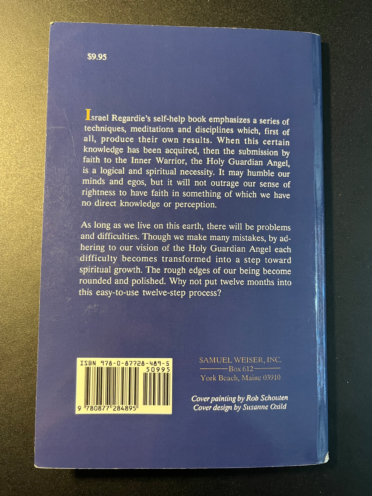 The One Year Manual: Twelve Steps to Spiritual Enlightenment - Israel Regardie