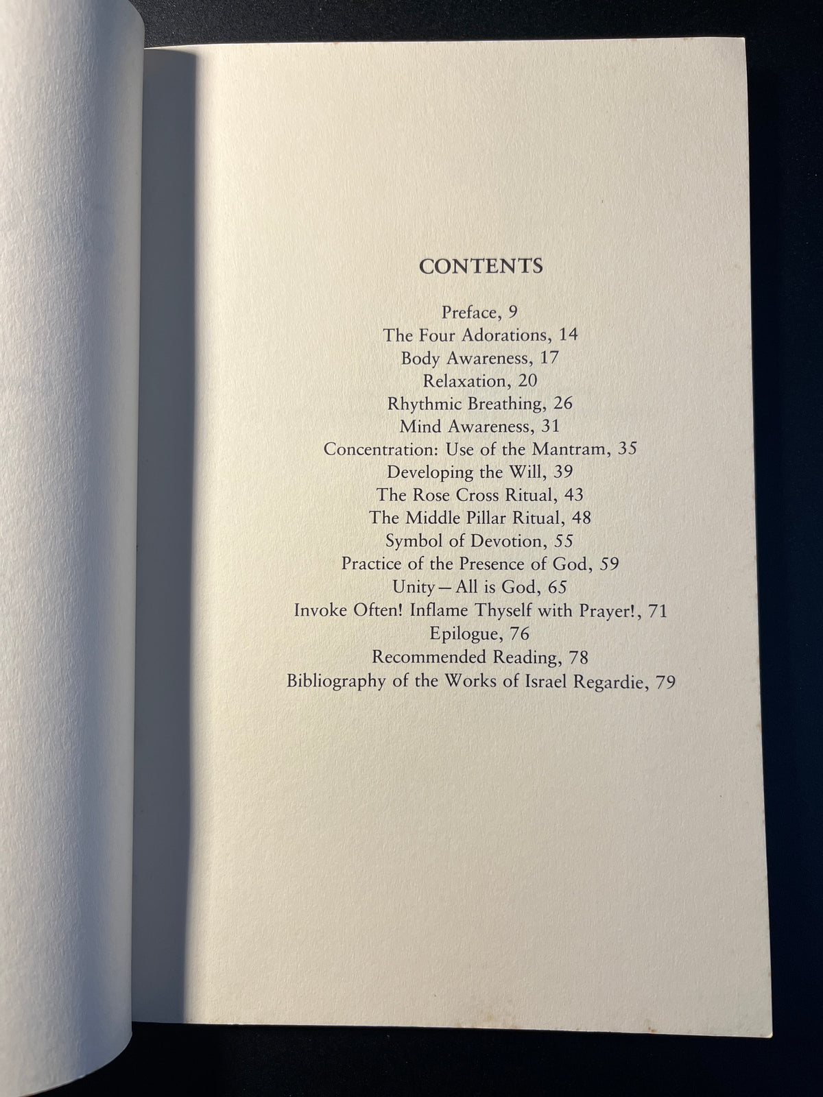 The One Year Manual: Twelve Steps to Spiritual Enlightenment - Israel Regardie