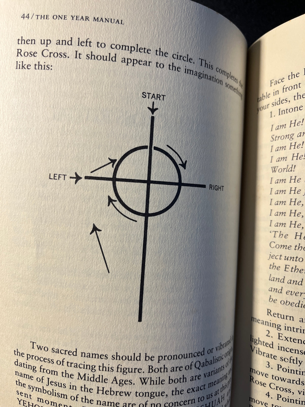 The One Year Manual: Twelve Steps to Spiritual Enlightenment - Israel Regardie
