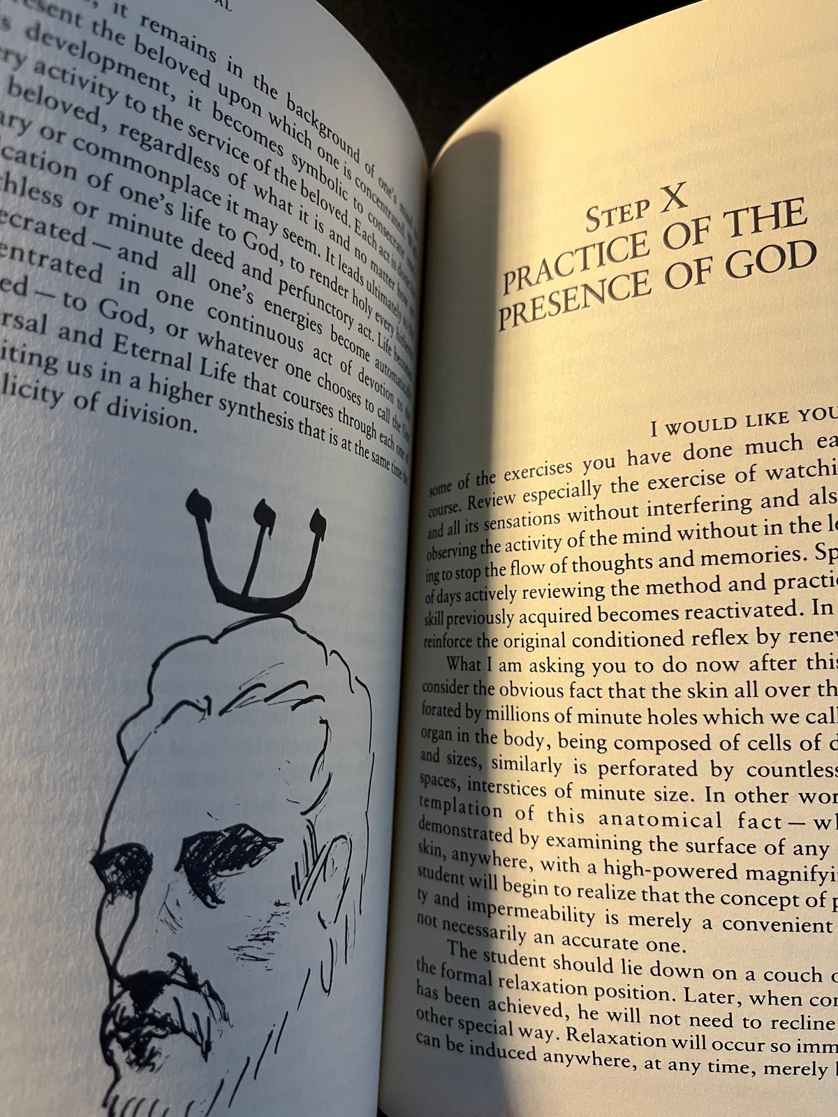 The One Year Manual: Twelve Steps to Spiritual Enlightenment - Israel Regardie