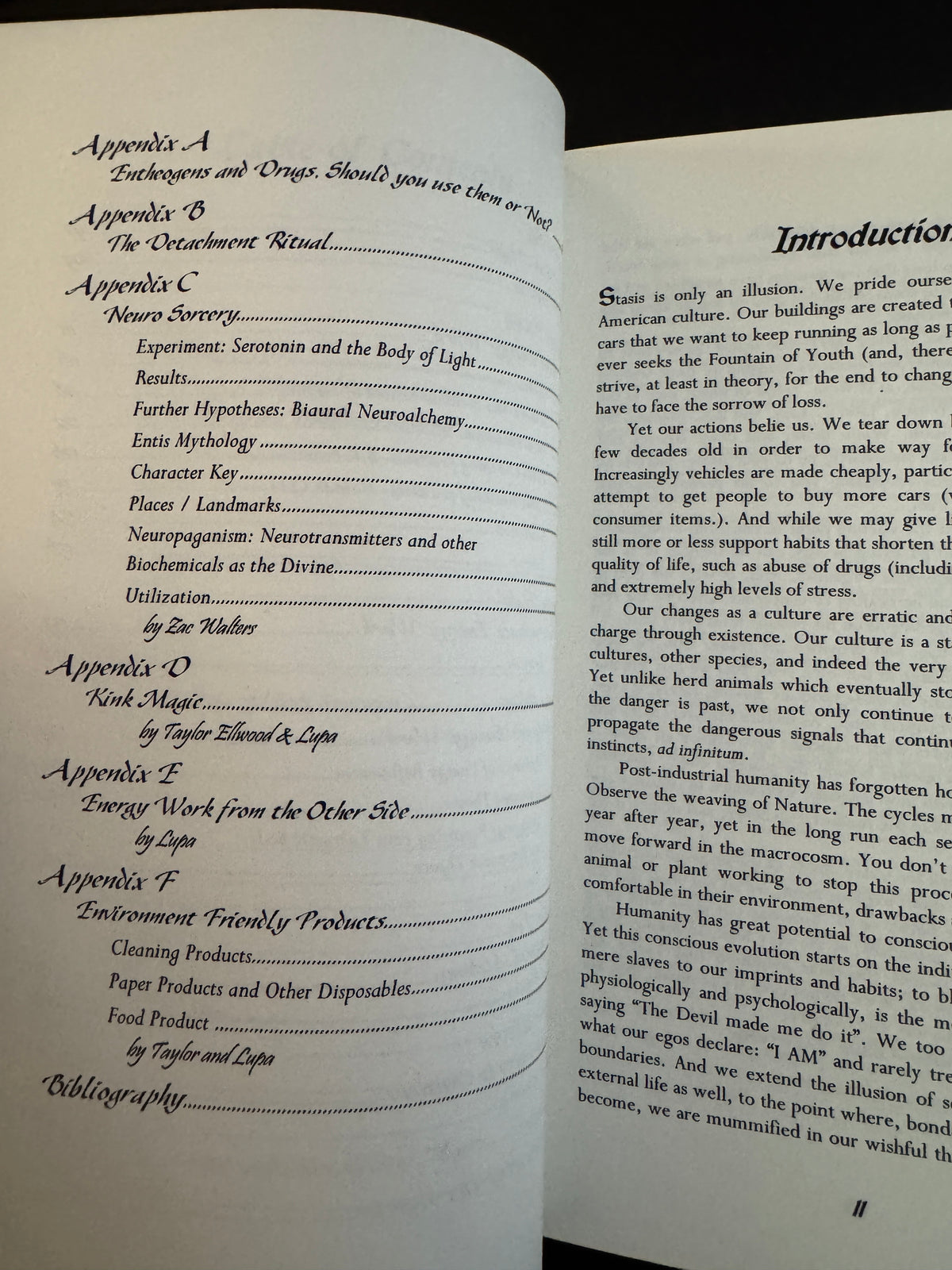 Inner Alchemy: Energy Work and the Magic of the Body - Taylor Ellwood (First Edition)