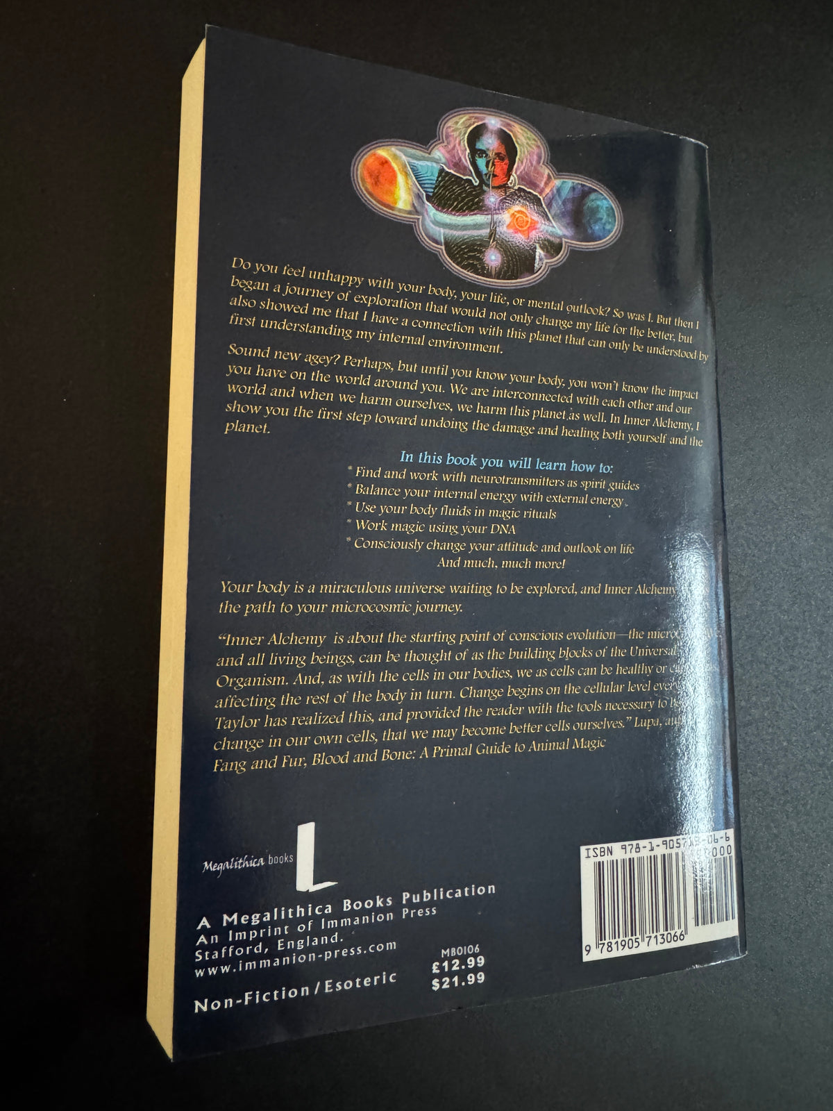 Inner Alchemy: Energy Work and the Magic of the Body - Taylor Ellwood (First Edition)