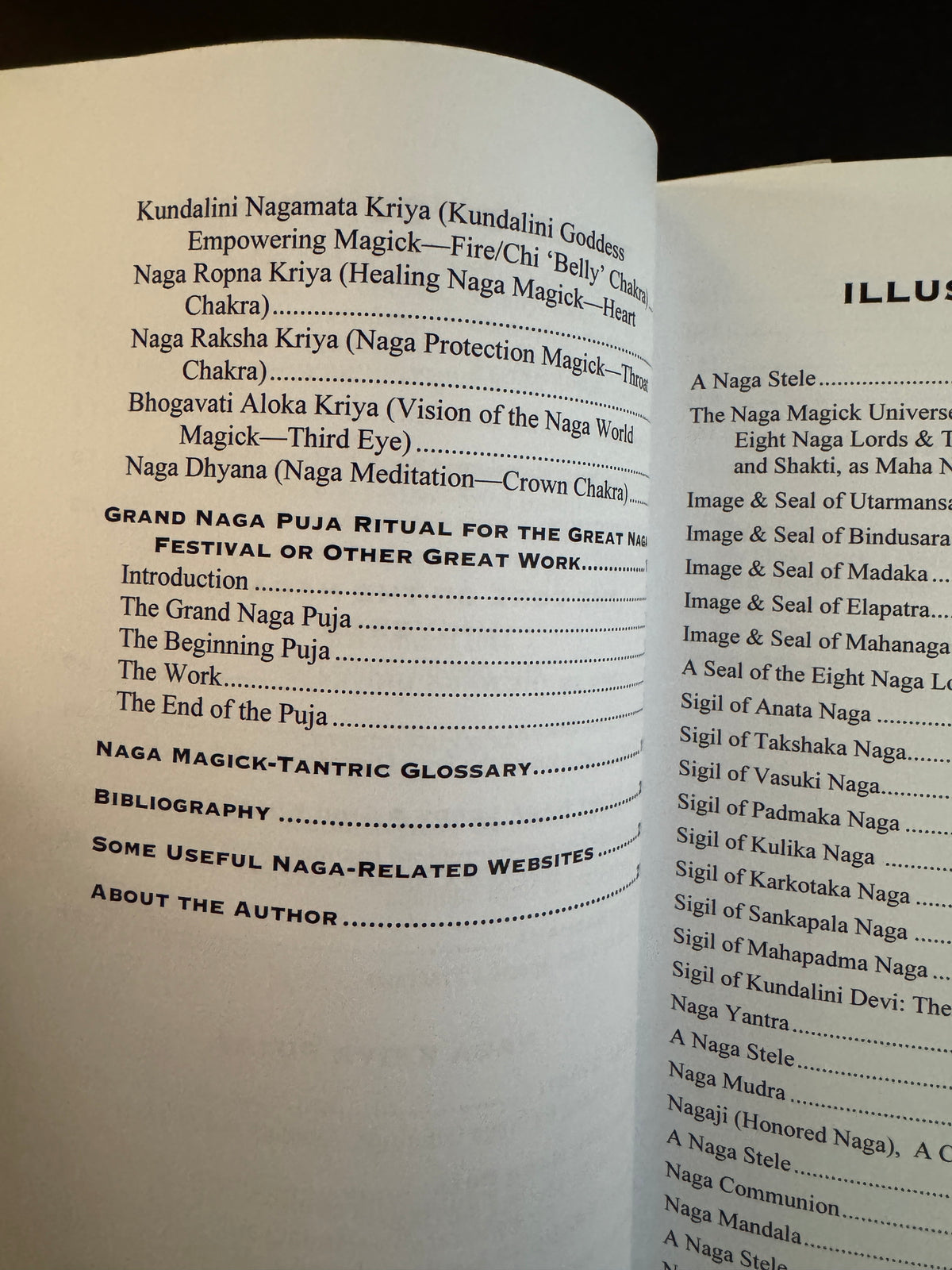 Naga Magick: The Wisdom of the Serpent Lords - Denny Sargent (First Edition)