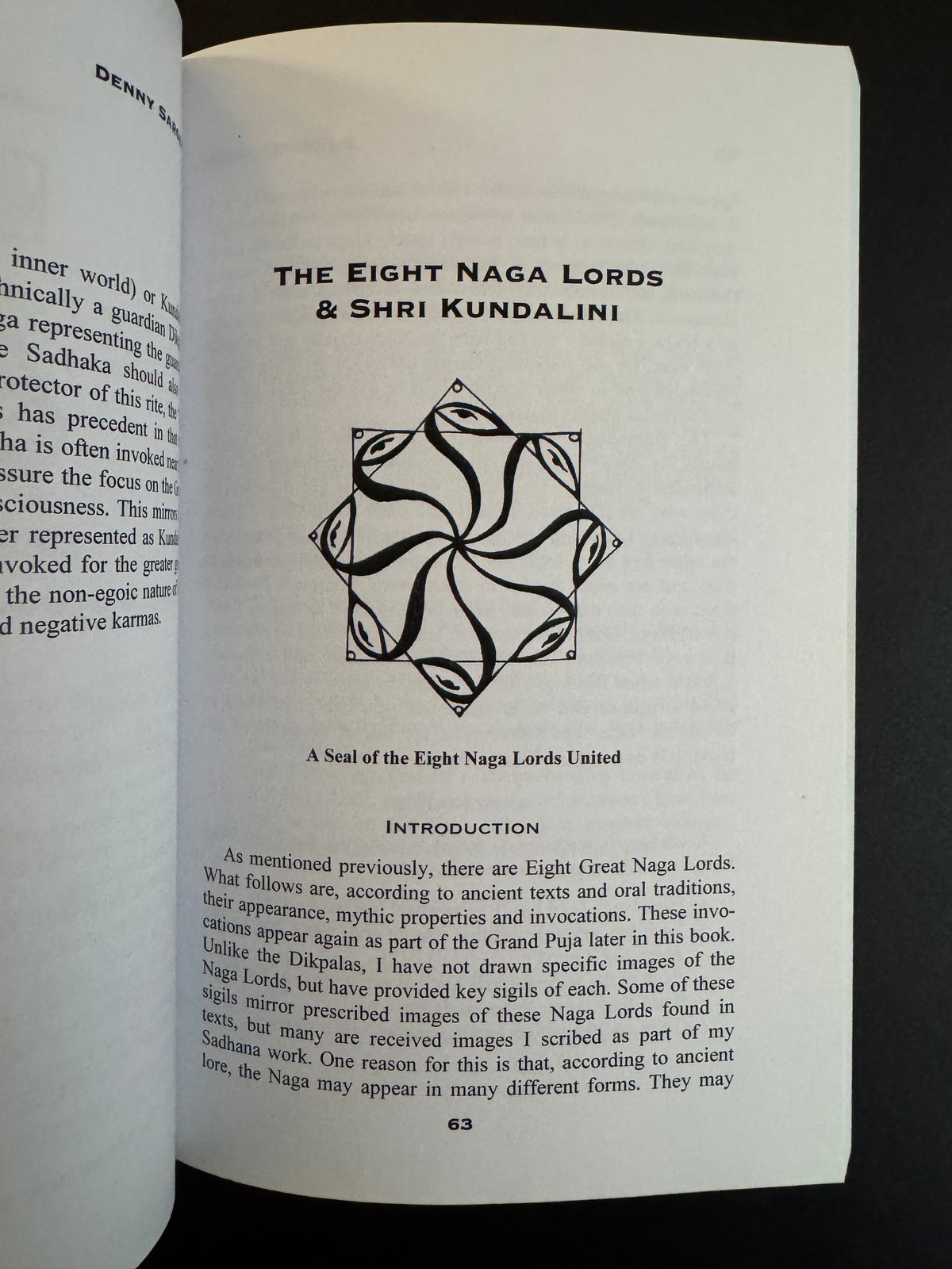 Naga Magick: The Wisdom of the Serpent Lords - Denny Sargent (First Edition)
