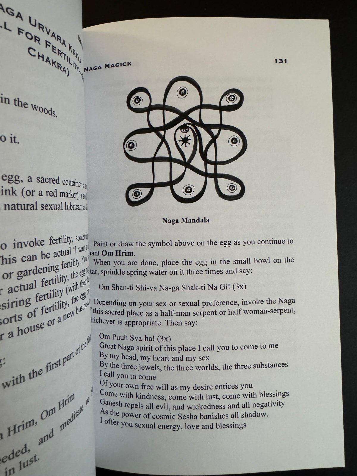 Naga Magick: The Wisdom of the Serpent Lords - Denny Sargent (First Edition)