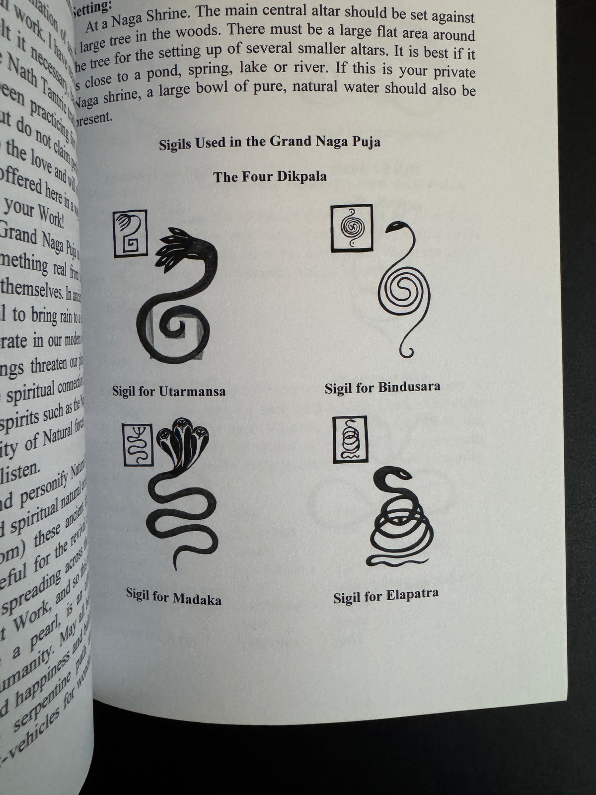 Naga Magick: The Wisdom of the Serpent Lords - Denny Sargent (First Edition)