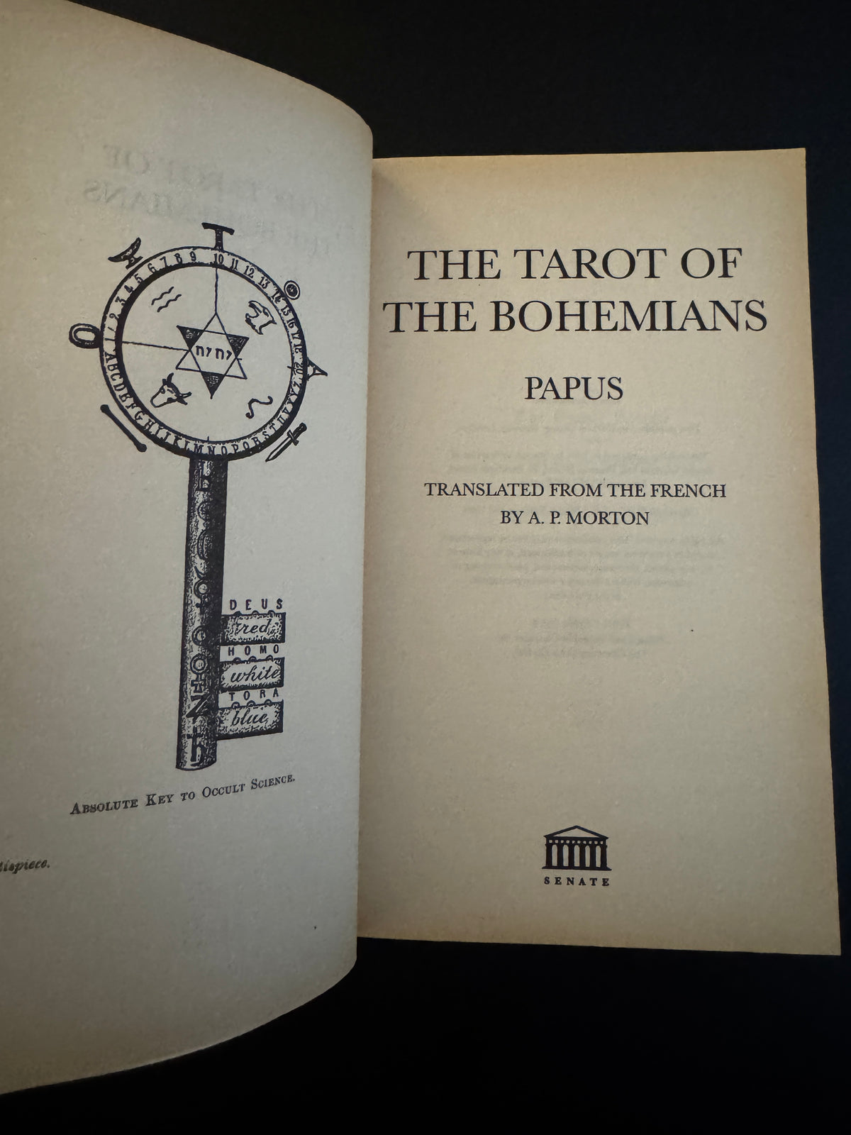 The Tarot of the Bohemians - Papus