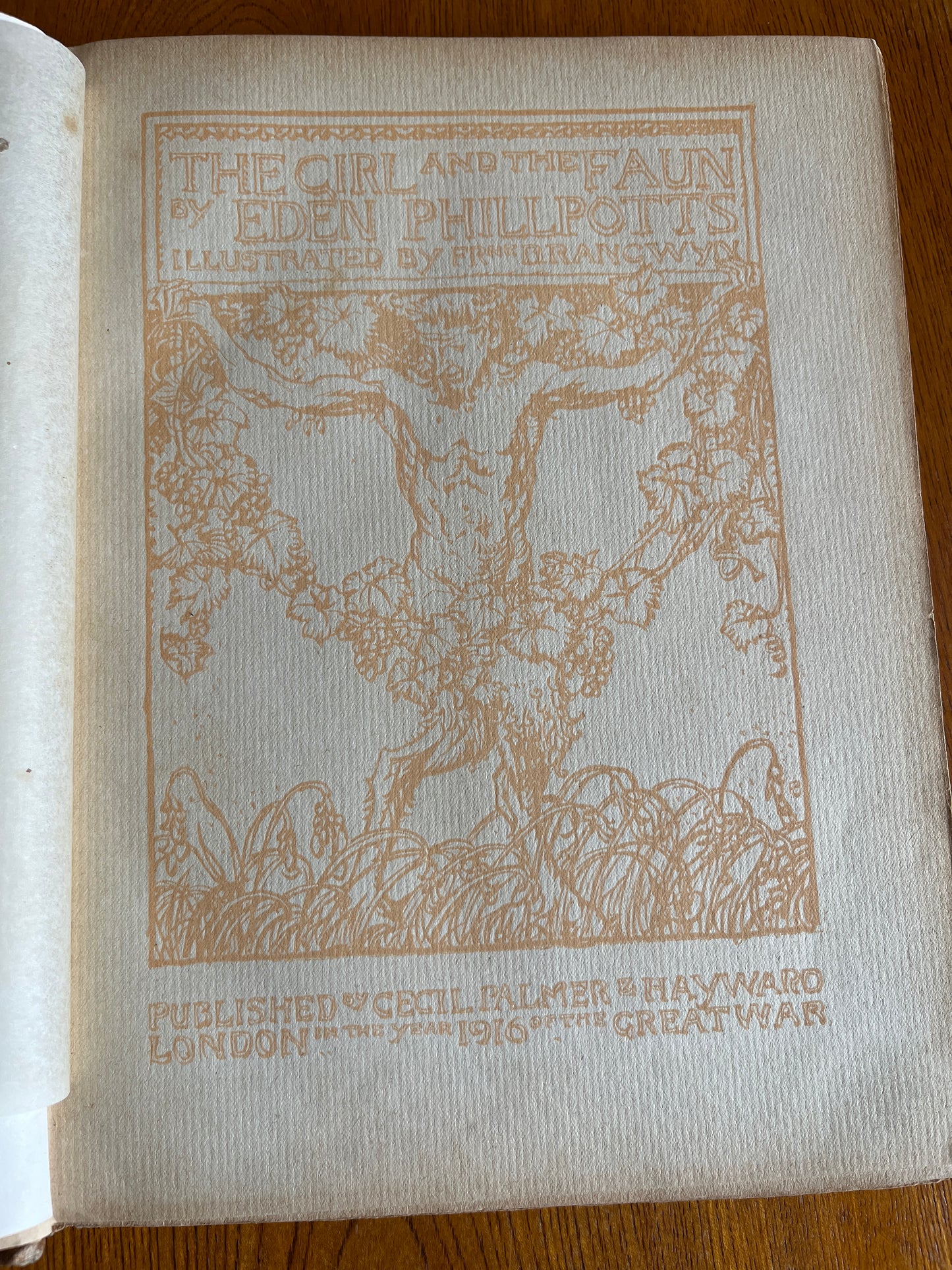 The Girl and the Faun - Eden Phillpotts (First Edition 1916)
