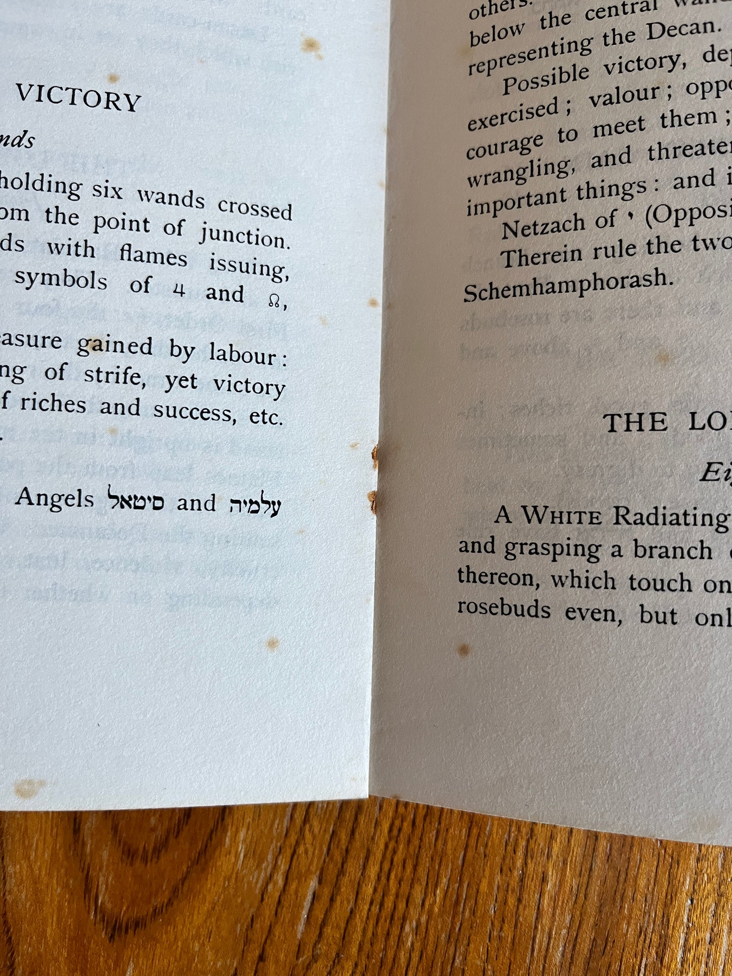 Tarot Divination: The Equinox - Aleister Crowley