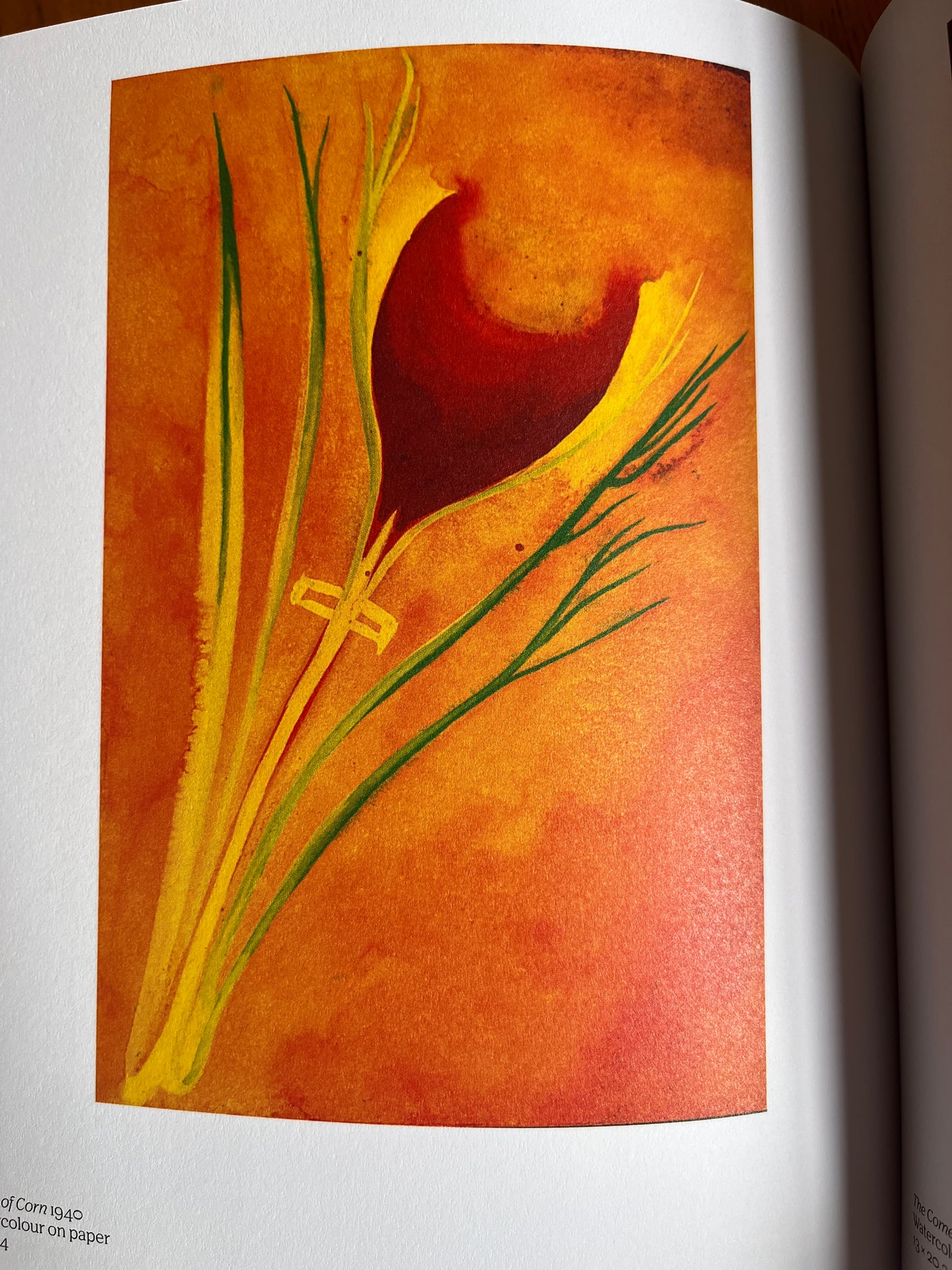 Sex Magic: Diagrams of Love Ithell Colquhoun - (First Edition) ed. by Amy Hale