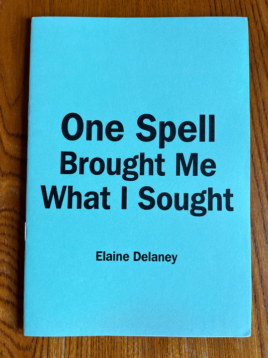 One Spell Brought Me What I Sought - Elaine Delaney (Finbarr First Edition)