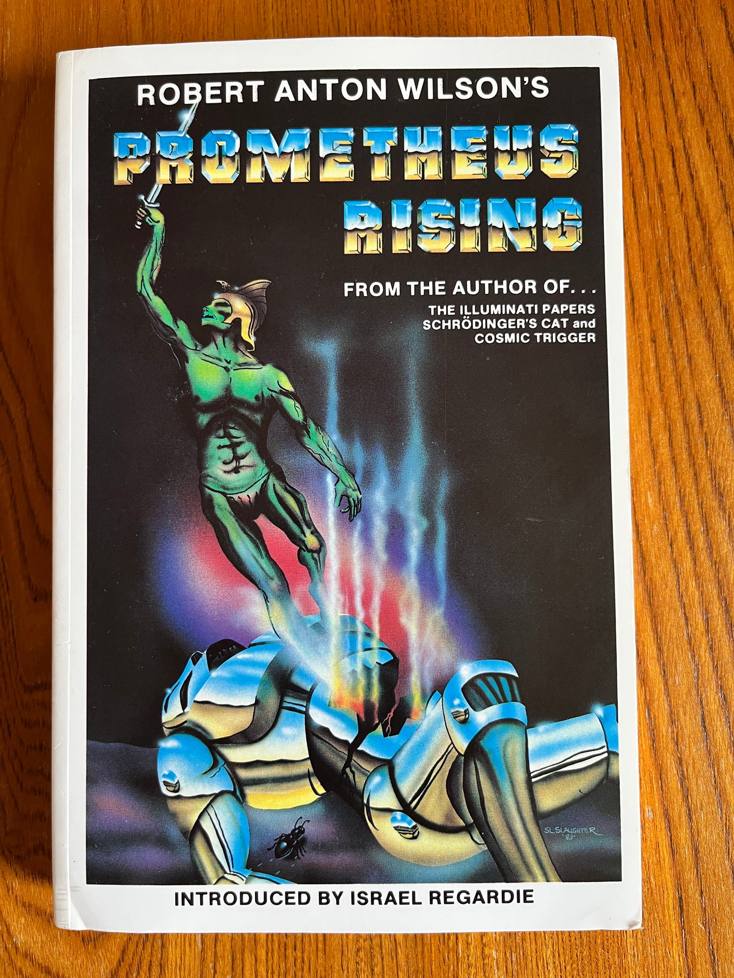 Prometheus Rising - Robert Anton Wilson