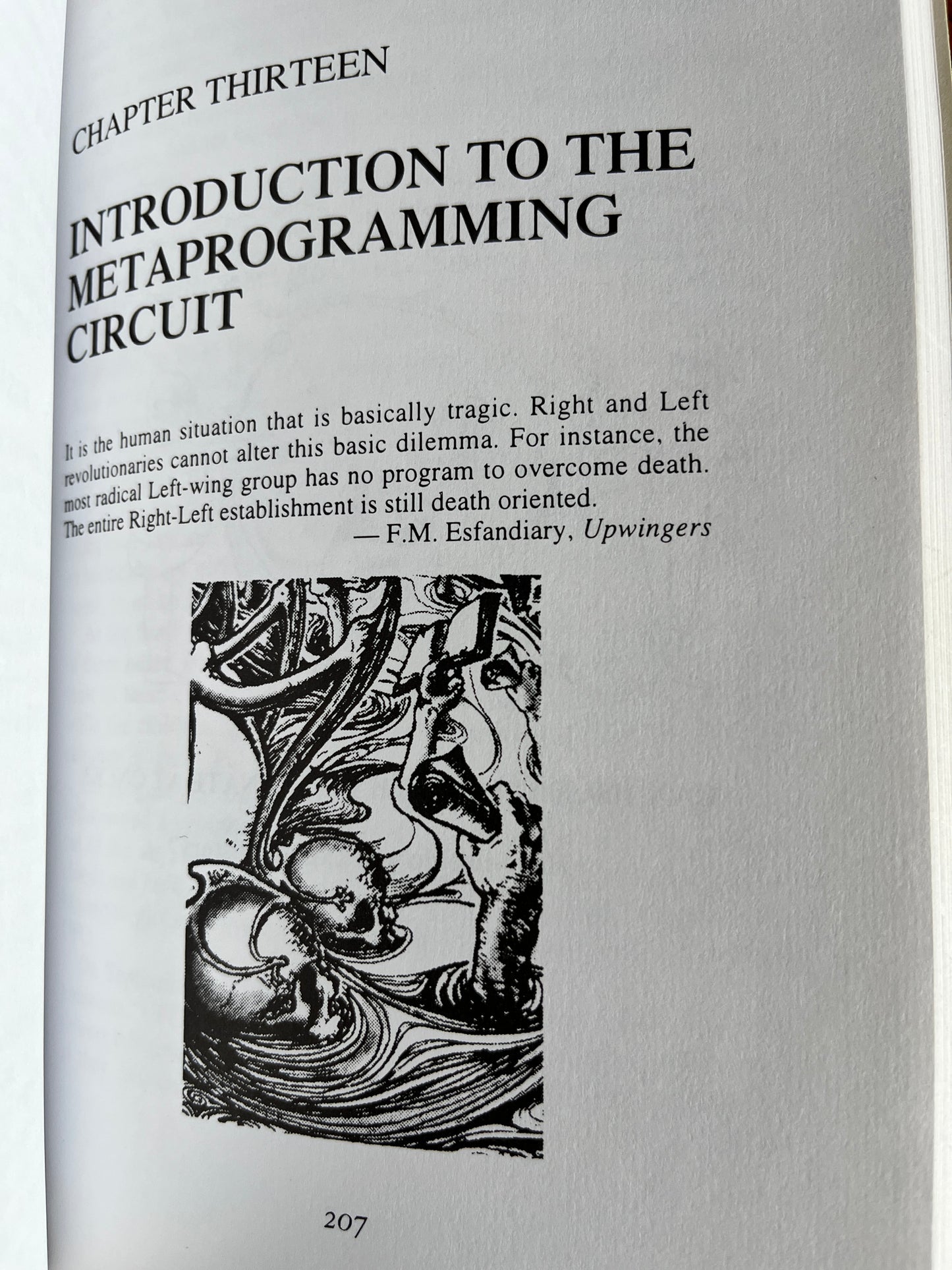 Prometheus Rising - Robert Anton Wilson