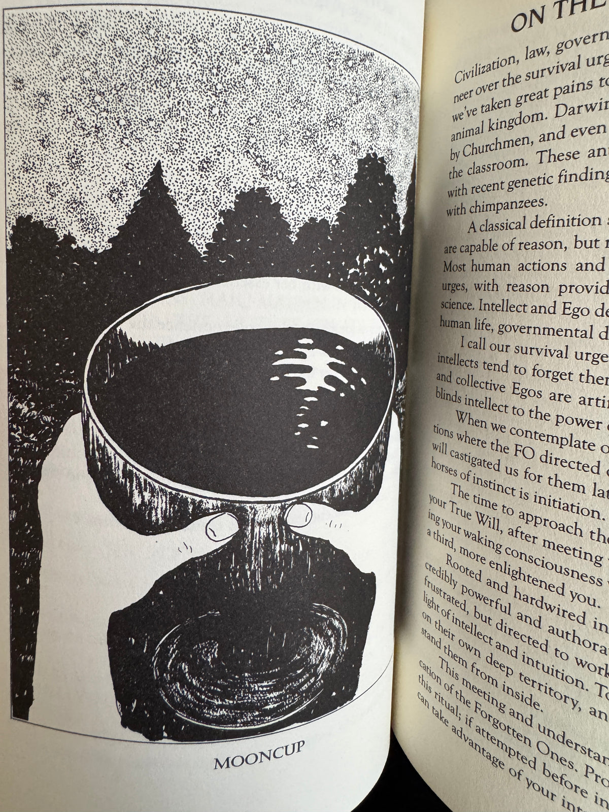 Maat Magick: A Guide to Self-Initiation - Nema (First Edition)