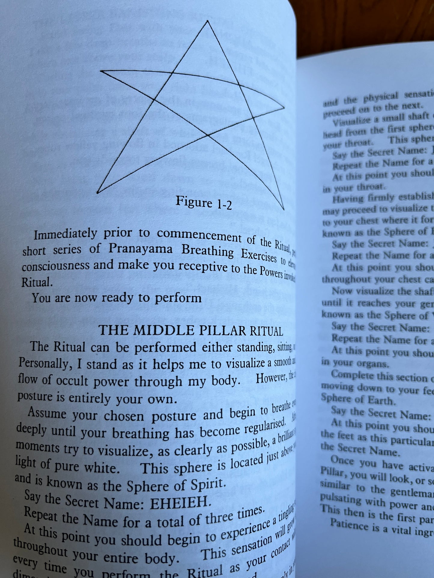Treasury of Magickal Secrets, Spells & Potions: Volumes 1 & 2 - Carl Nagel (Finbarr 1991)
