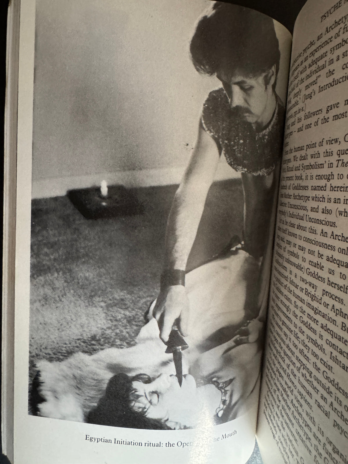 The Witches' Goddess - Janet & Stewart Farrar