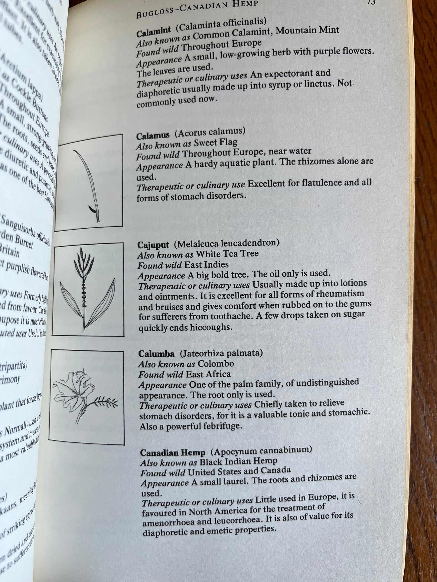 Mitton's Practical Modern Herbal - F. and V. Mitton