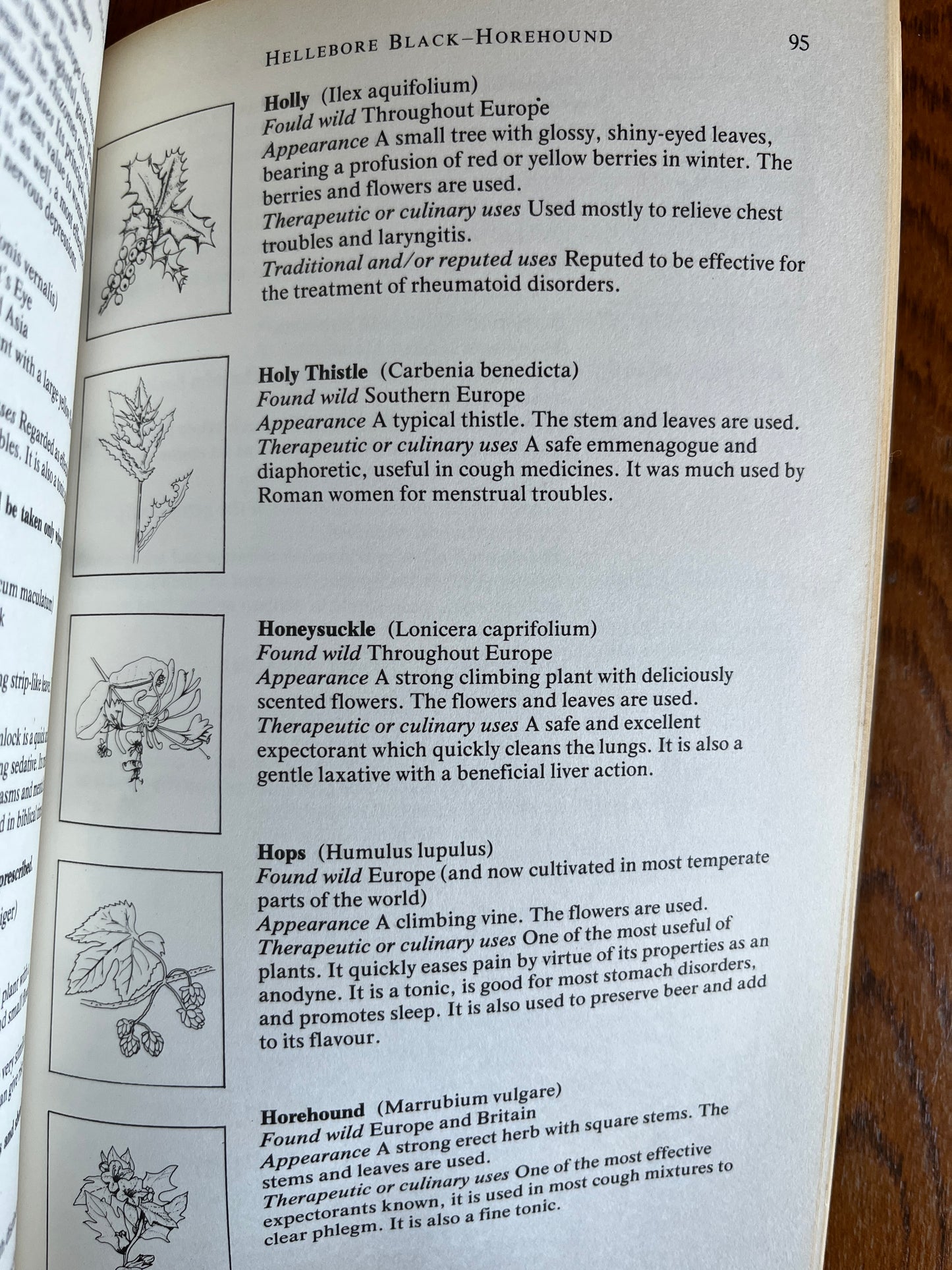 Mitton's Practical Modern Herbal - F. and V. Mitton