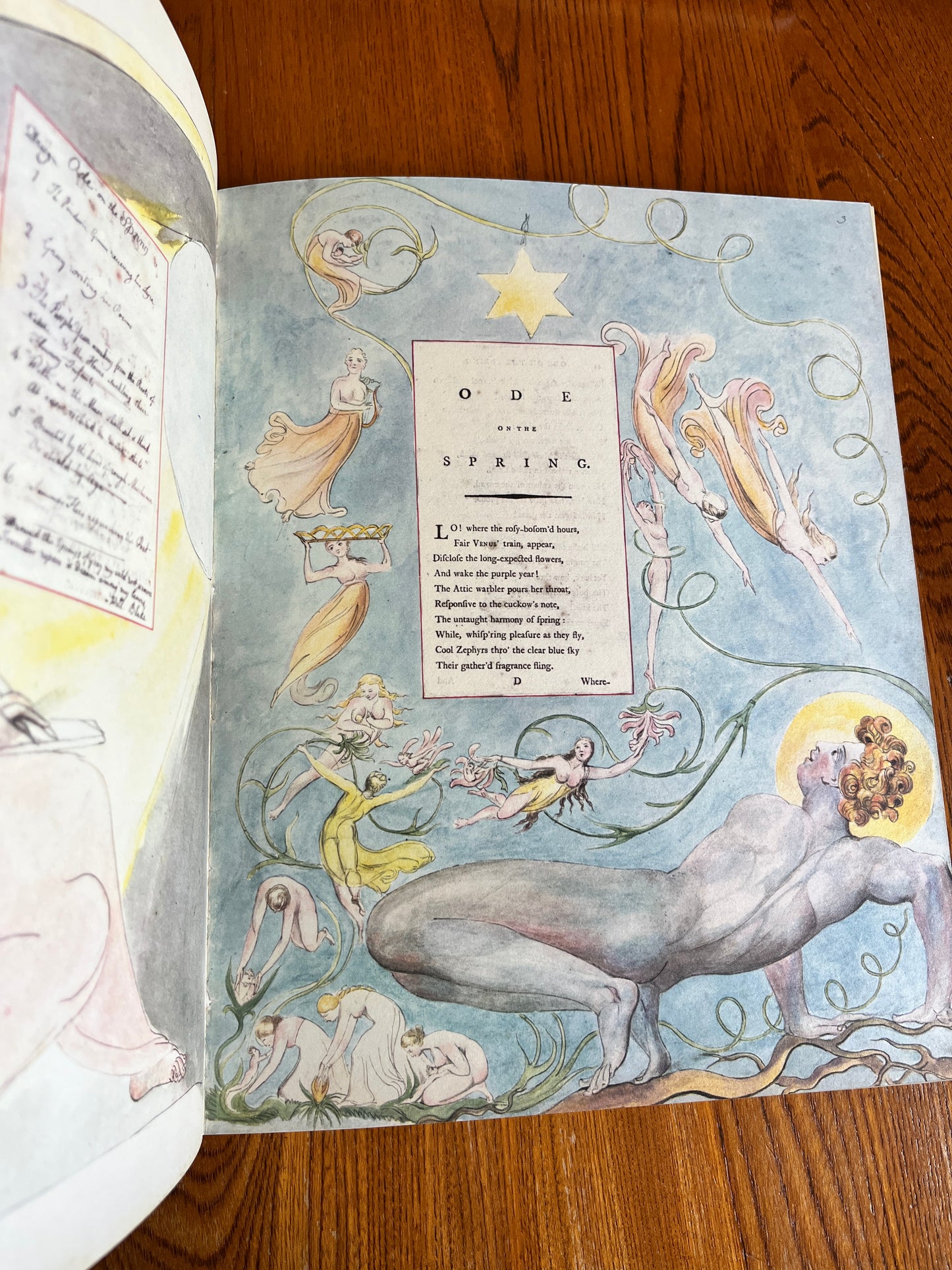 Poems by Mr Gray, Drawings by William Blake - Trianon Press 1971