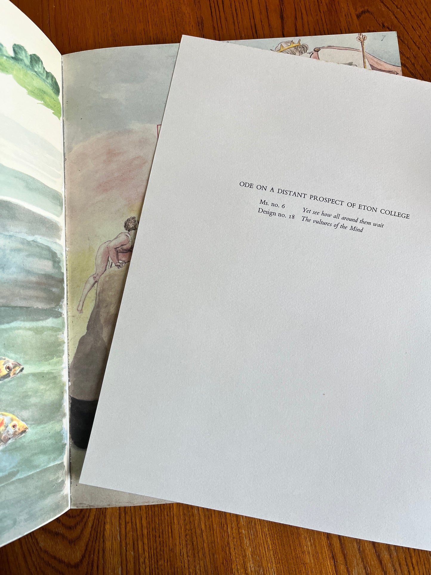 Poems by Mr Gray, Drawings by William Blake - Trianon Press 1971