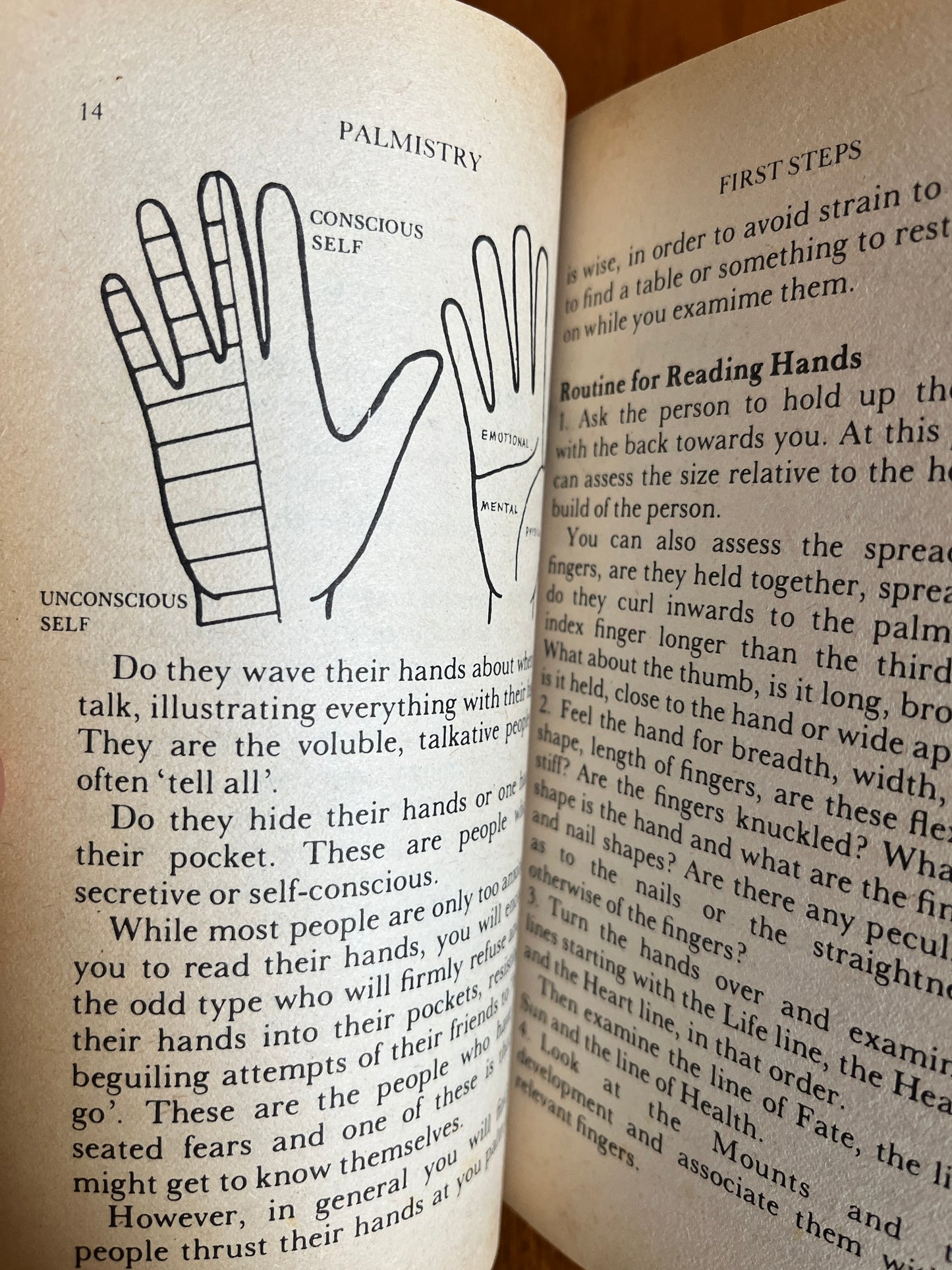 Palmistry - Mary Anderson