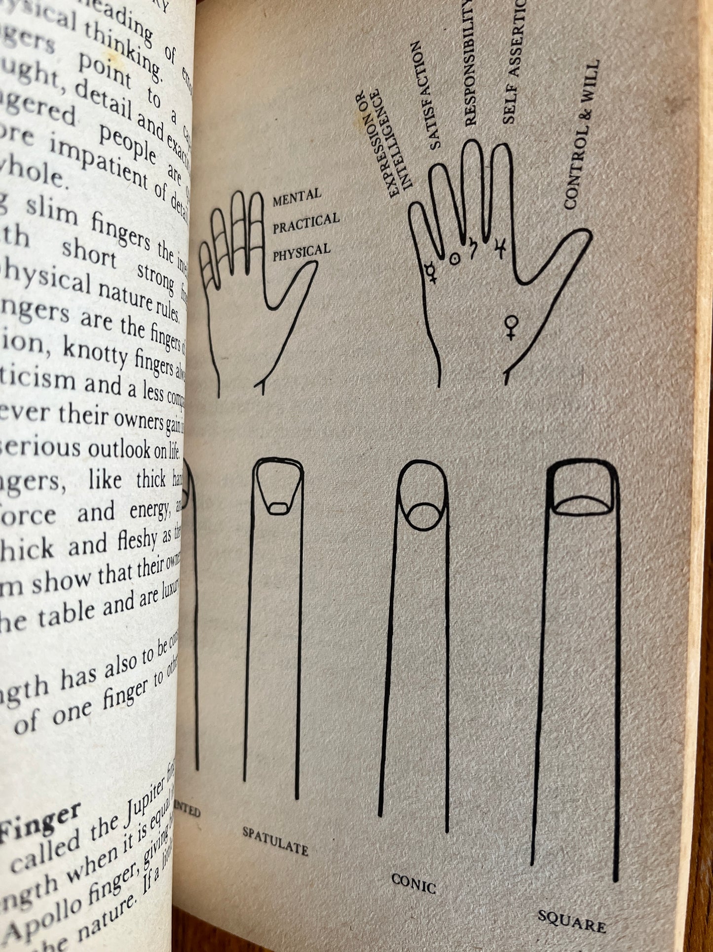 Palmistry - Mary Anderson