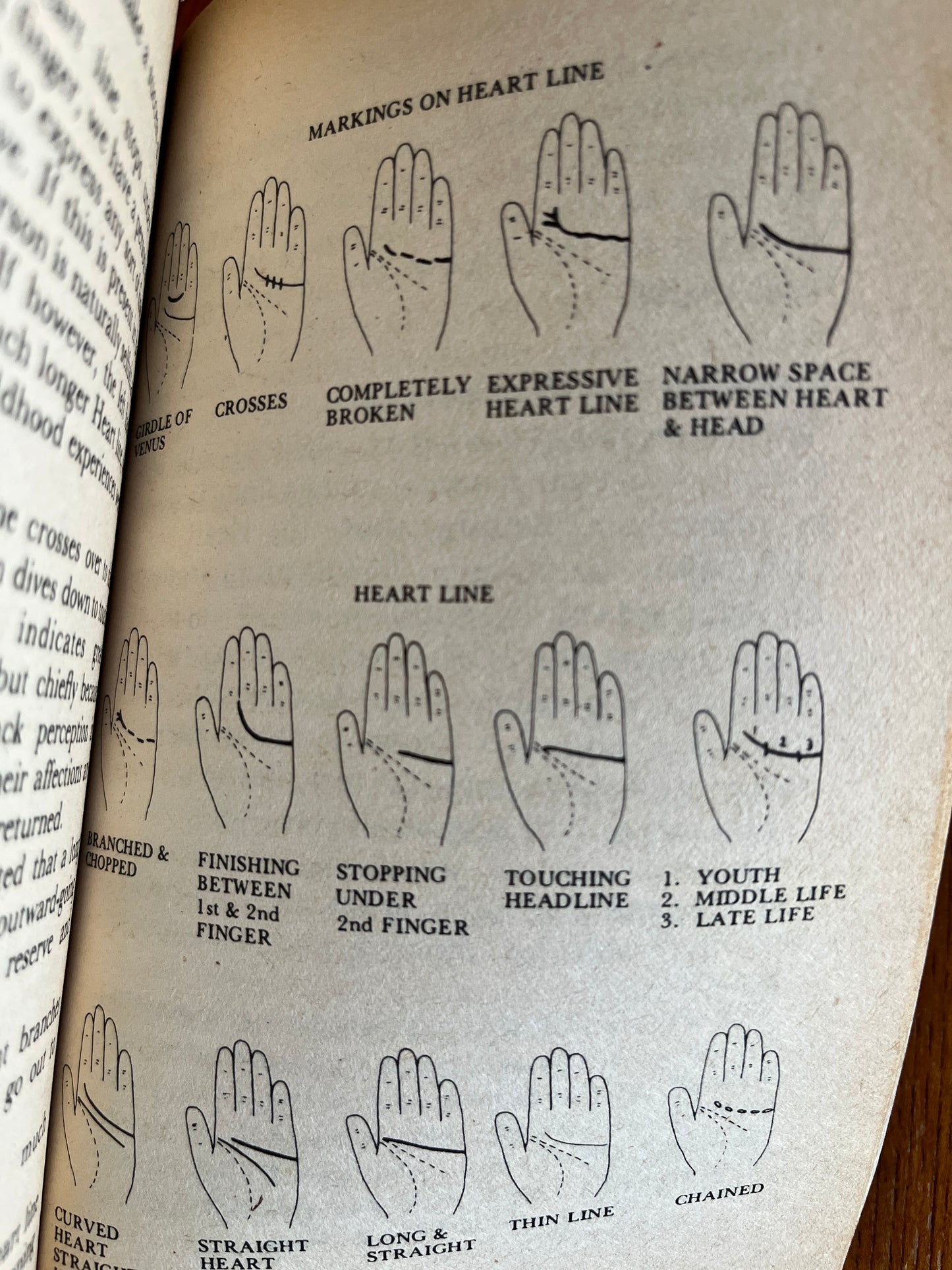 Palmistry - Mary Anderson
