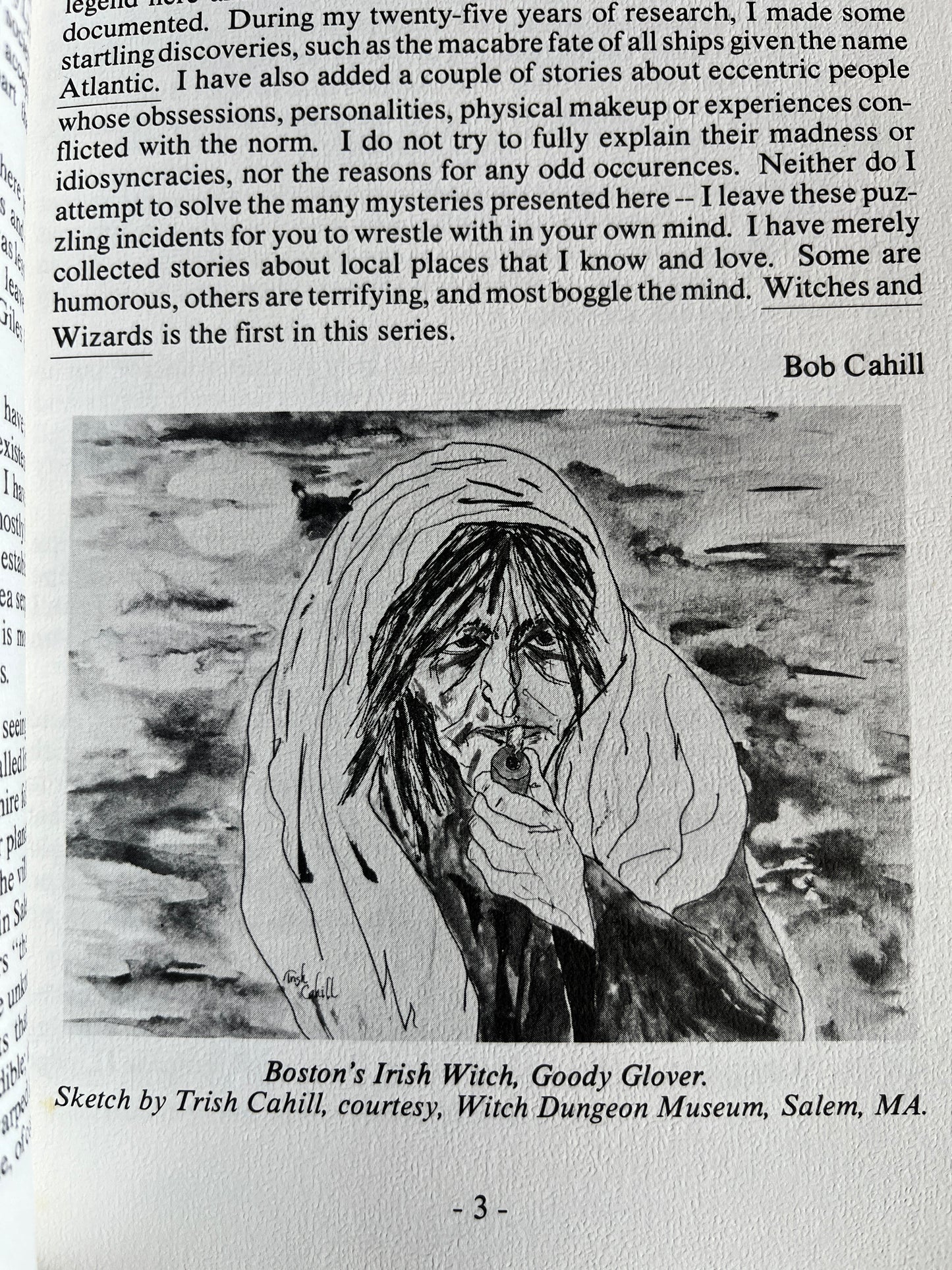 New England's Witches and Wizards - Robert Ellis Cahill