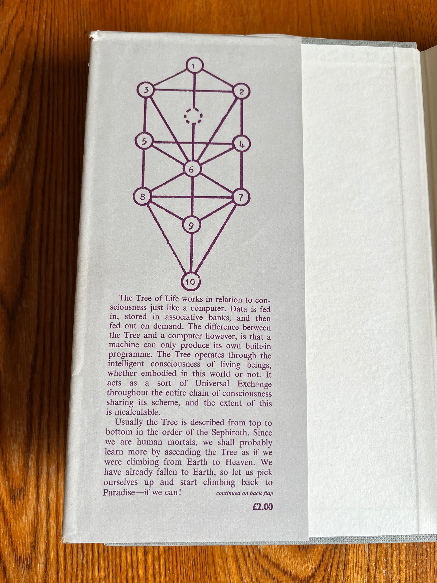 The Ladder of Lights - William G Gray