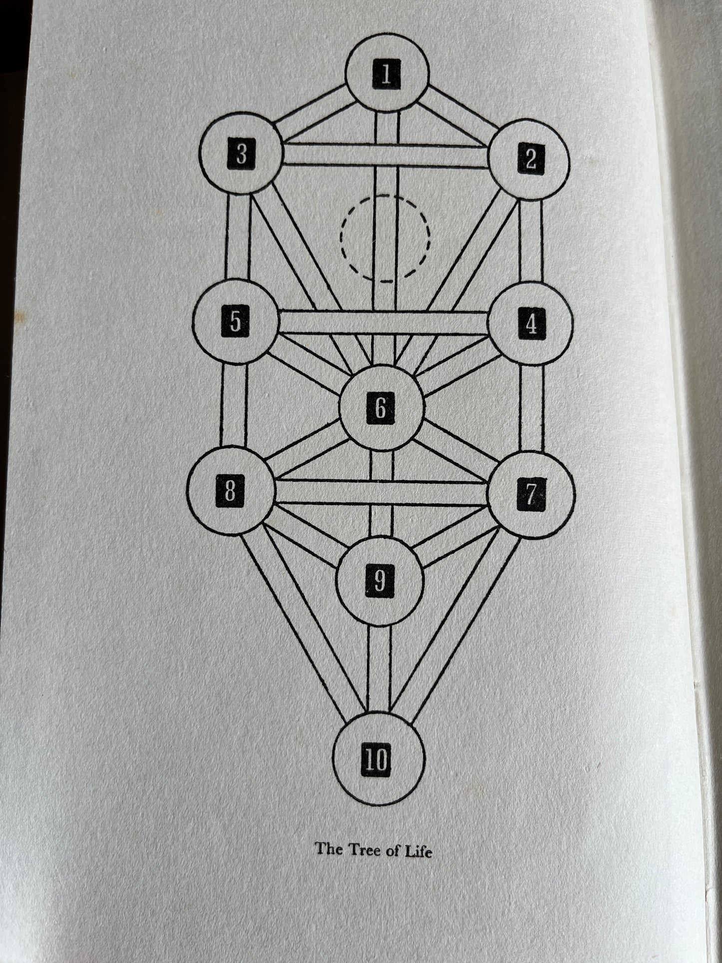The Ladder of Lights - William G Gray