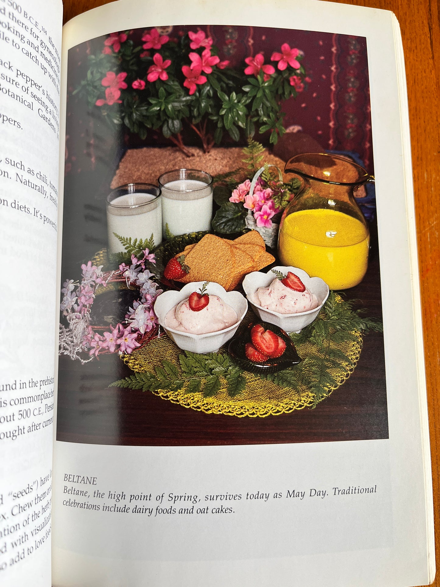 The Magic in Food - Scott Cunningham (First Edition)