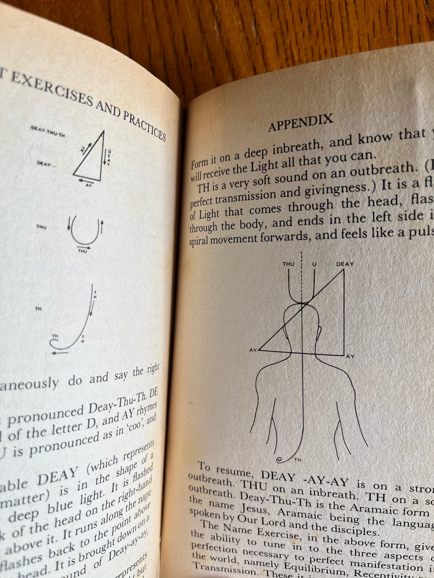 Occult Exercises and Practices (1978) & The Practice of Ritual Magic (First Edition 1976) - Gareth Knight