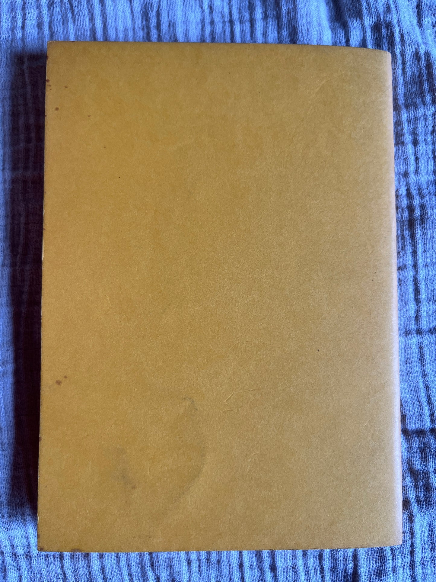 The Sun Goddess - Sinead Sula Grian (Rare Zine 1986)