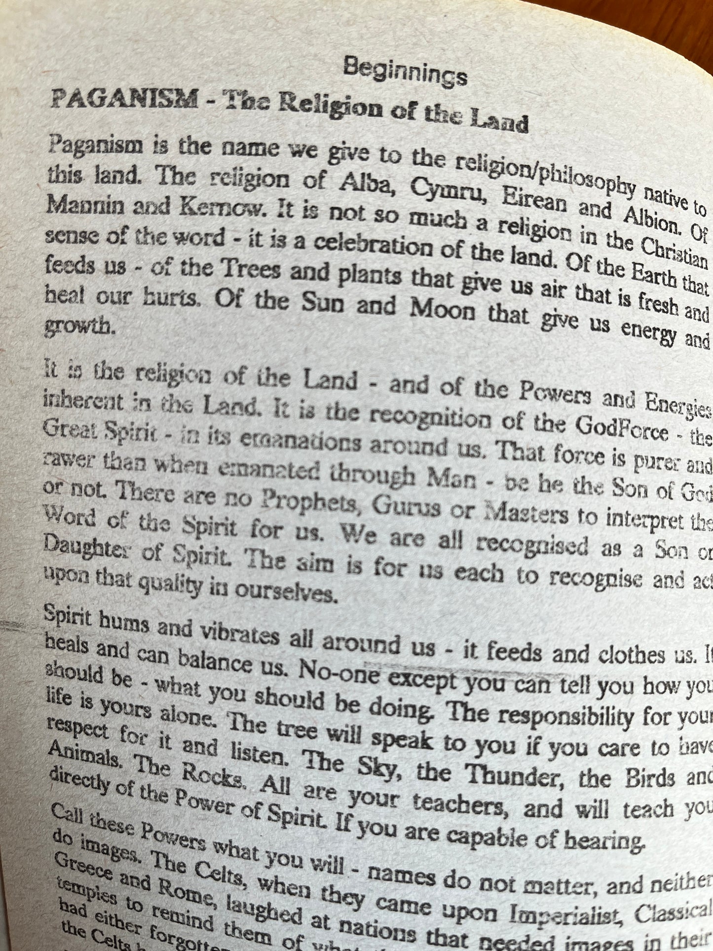 Beginnings... - Richard Westwood (Neopagan Zine, RARE)