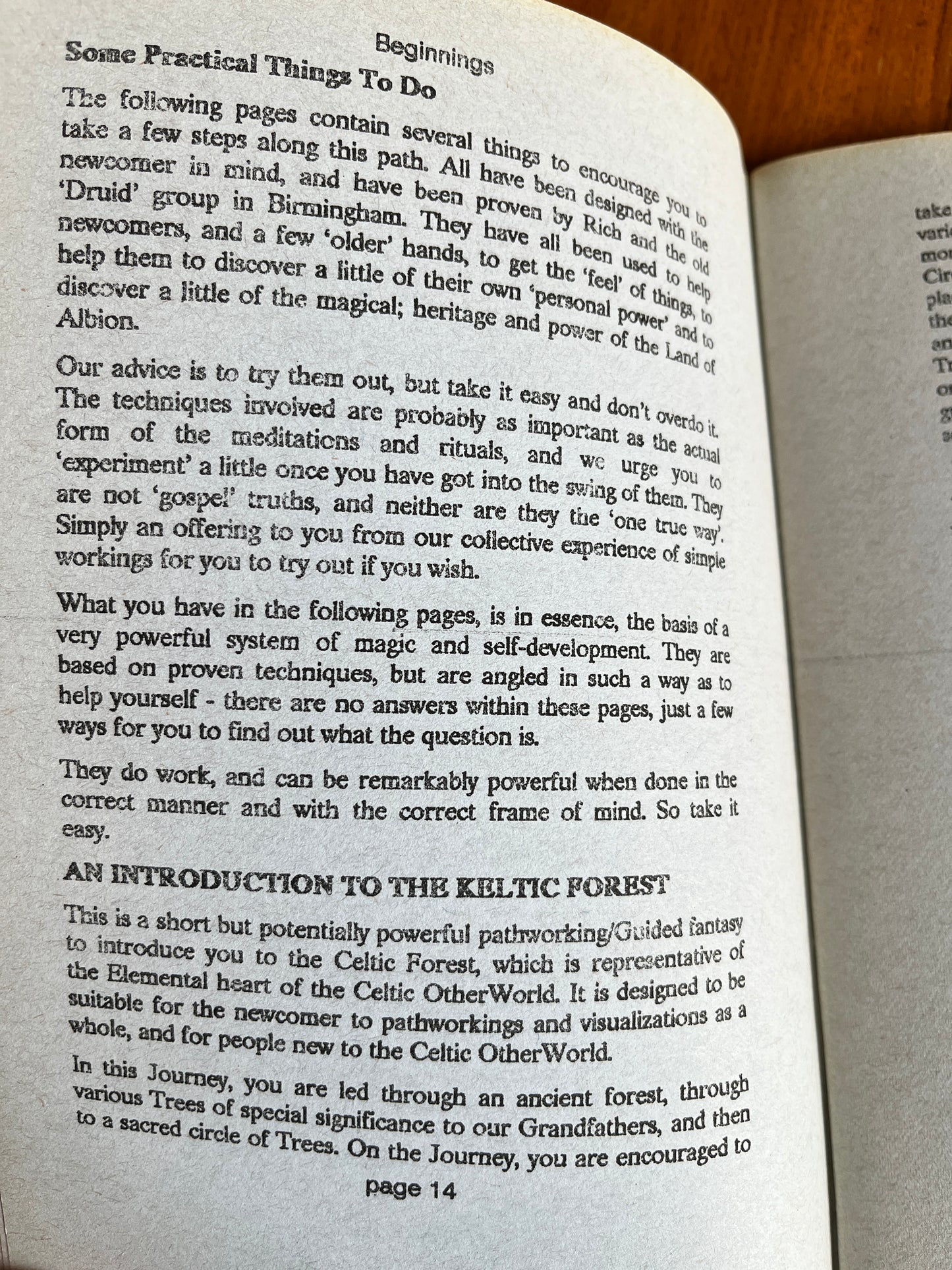 Beginnings... - Richard Westwood (Neopagan Zine, RARE)