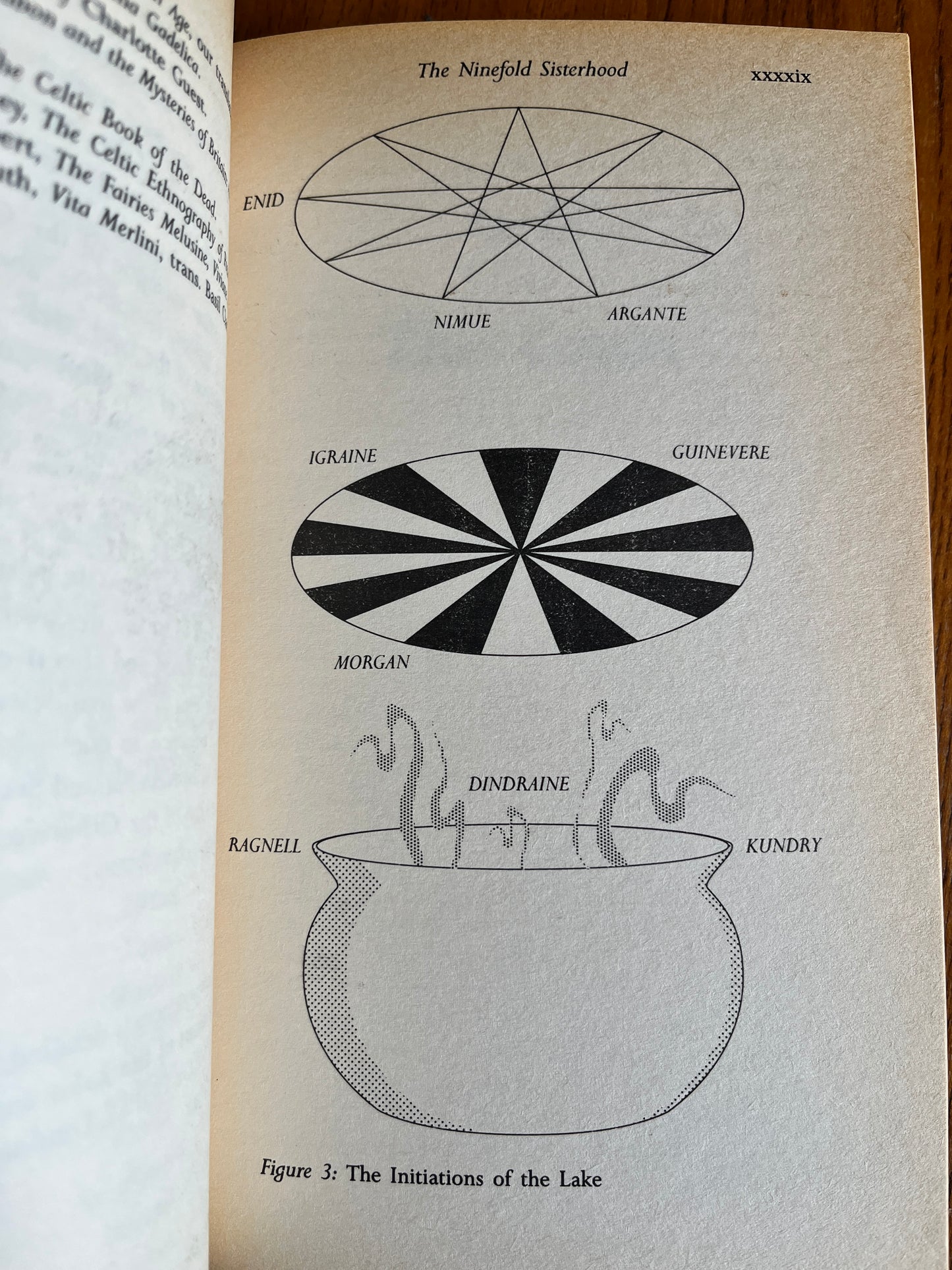 Ladies of the Lake - Caitlin and John Matthews (First Edition)