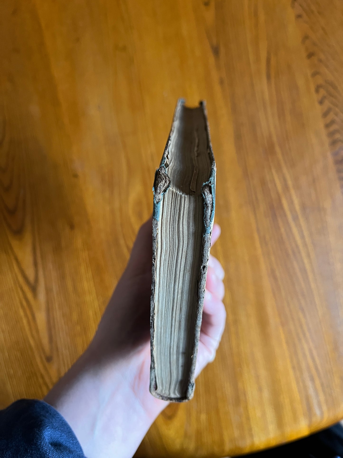 Count Cagliostro or The Charlatan – Thomas Andrew James