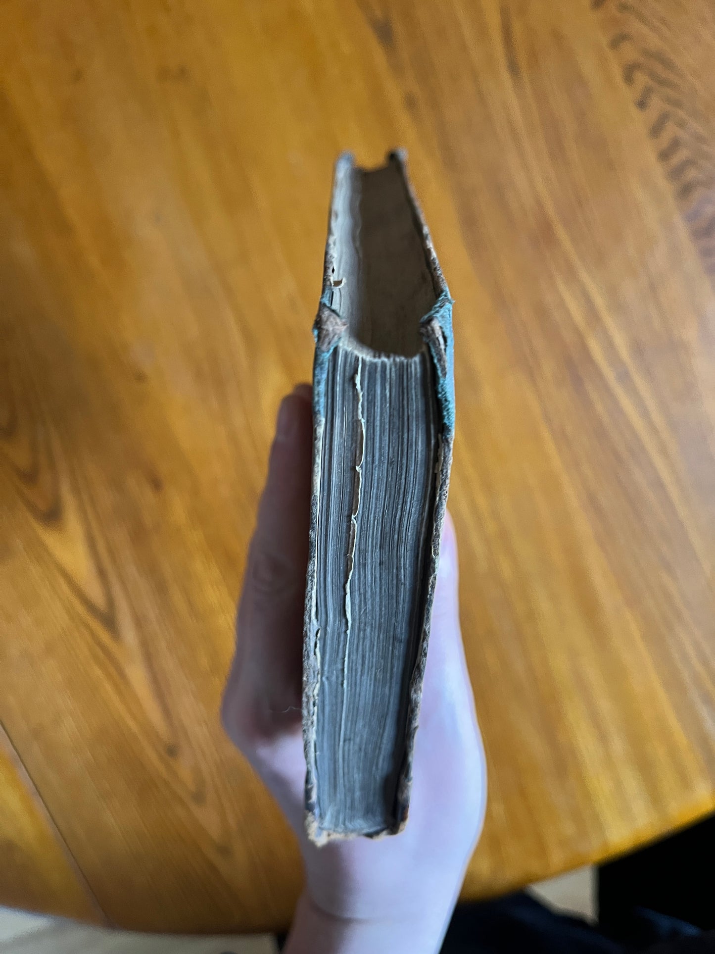 Count Cagliostro or The Charlatan – Thomas Andrew James