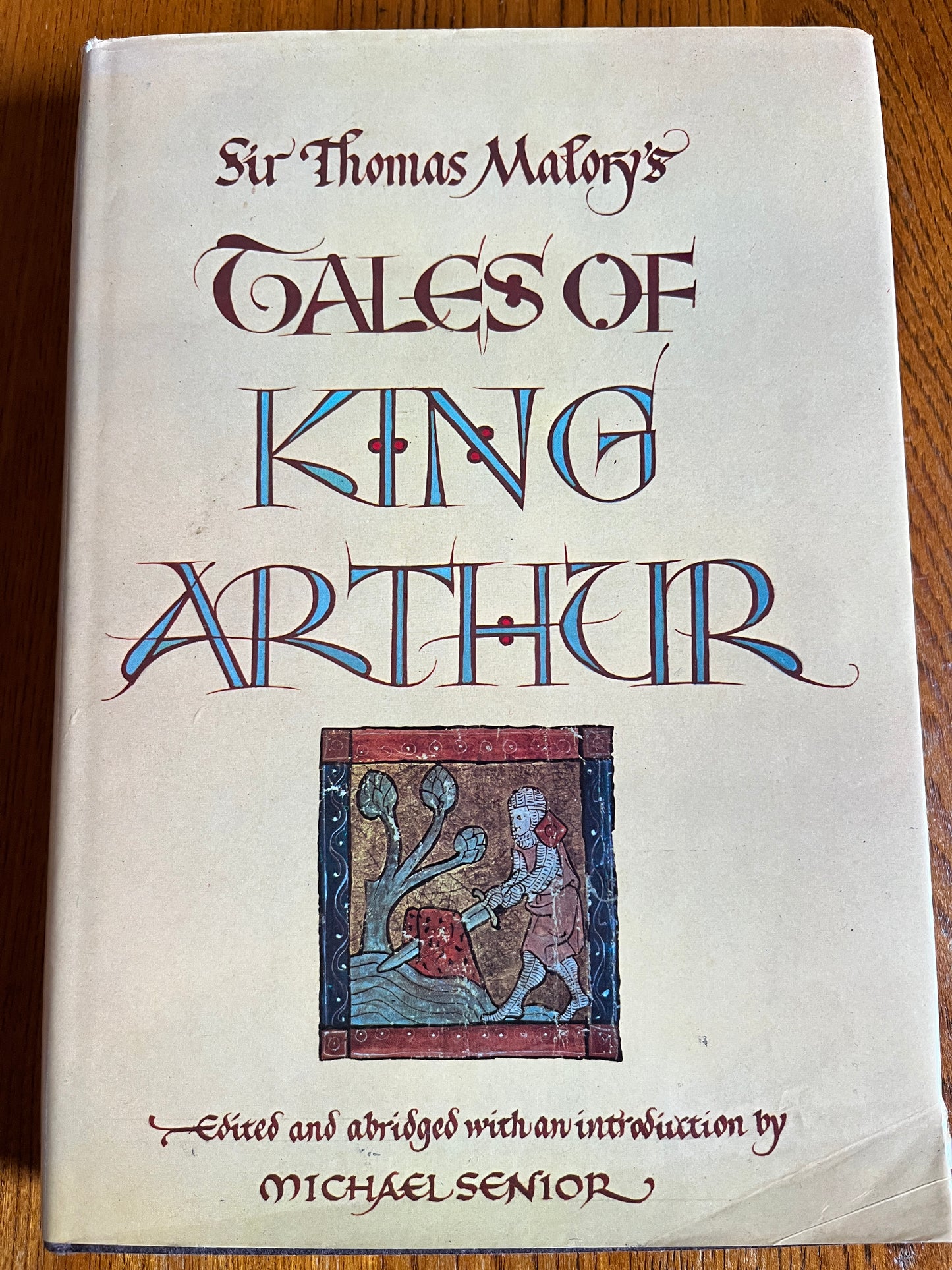 Sir Thomas Malory's Tales of King Arthur - Ed Michael Senior