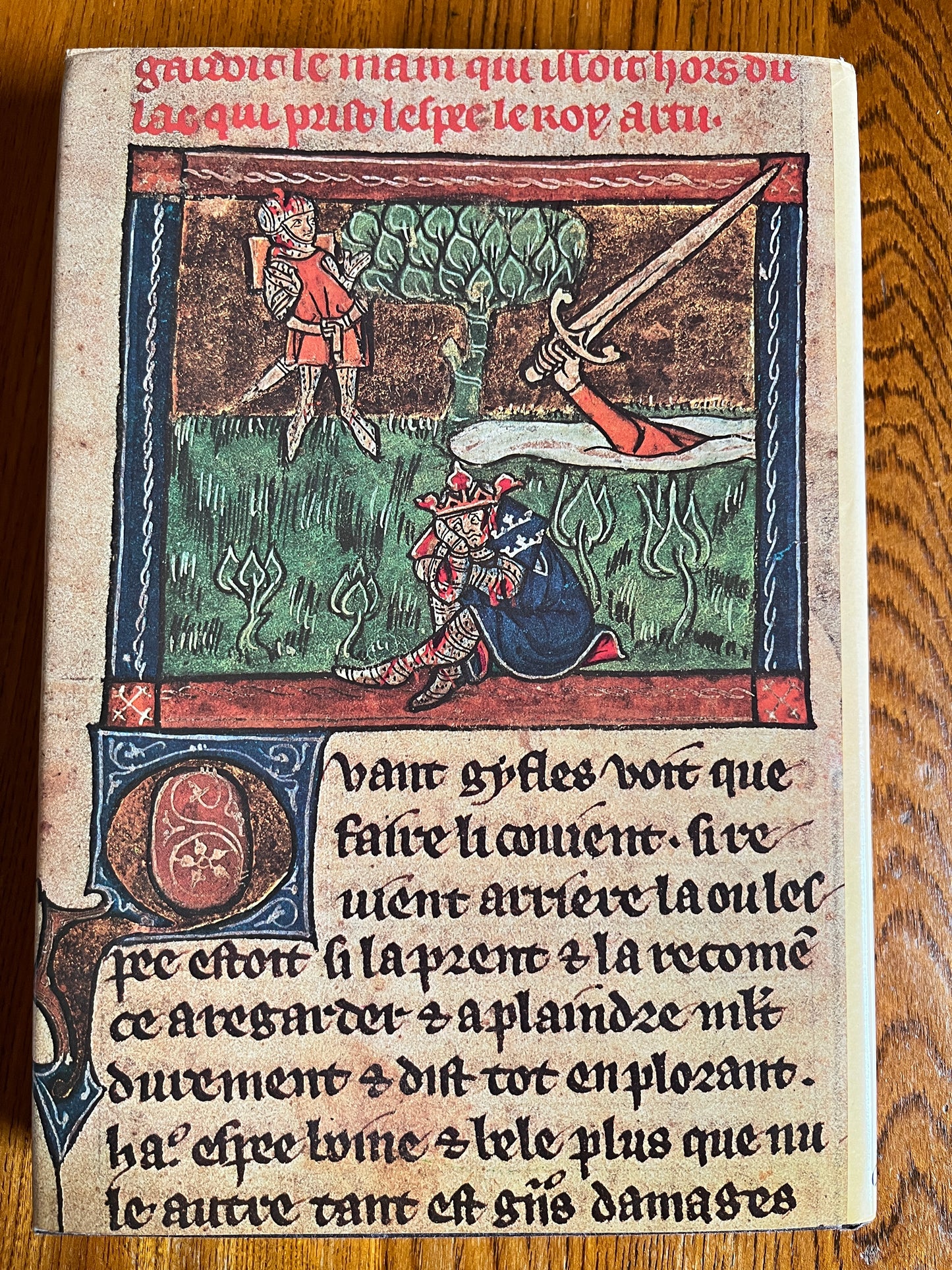 Sir Thomas Malory's Tales of King Arthur - Ed Michael Senior