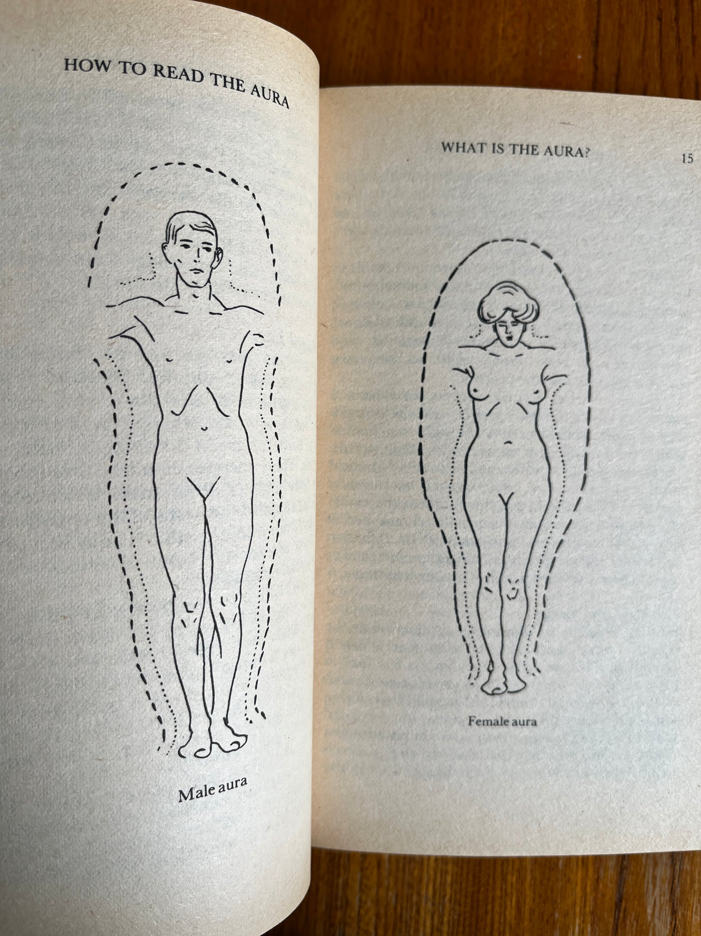 How to Read the Aura - W E Butler
