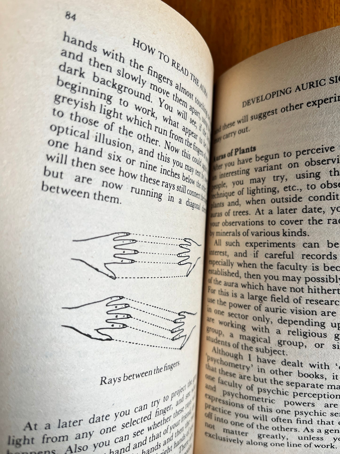 How to Read the Aura - W E Butler