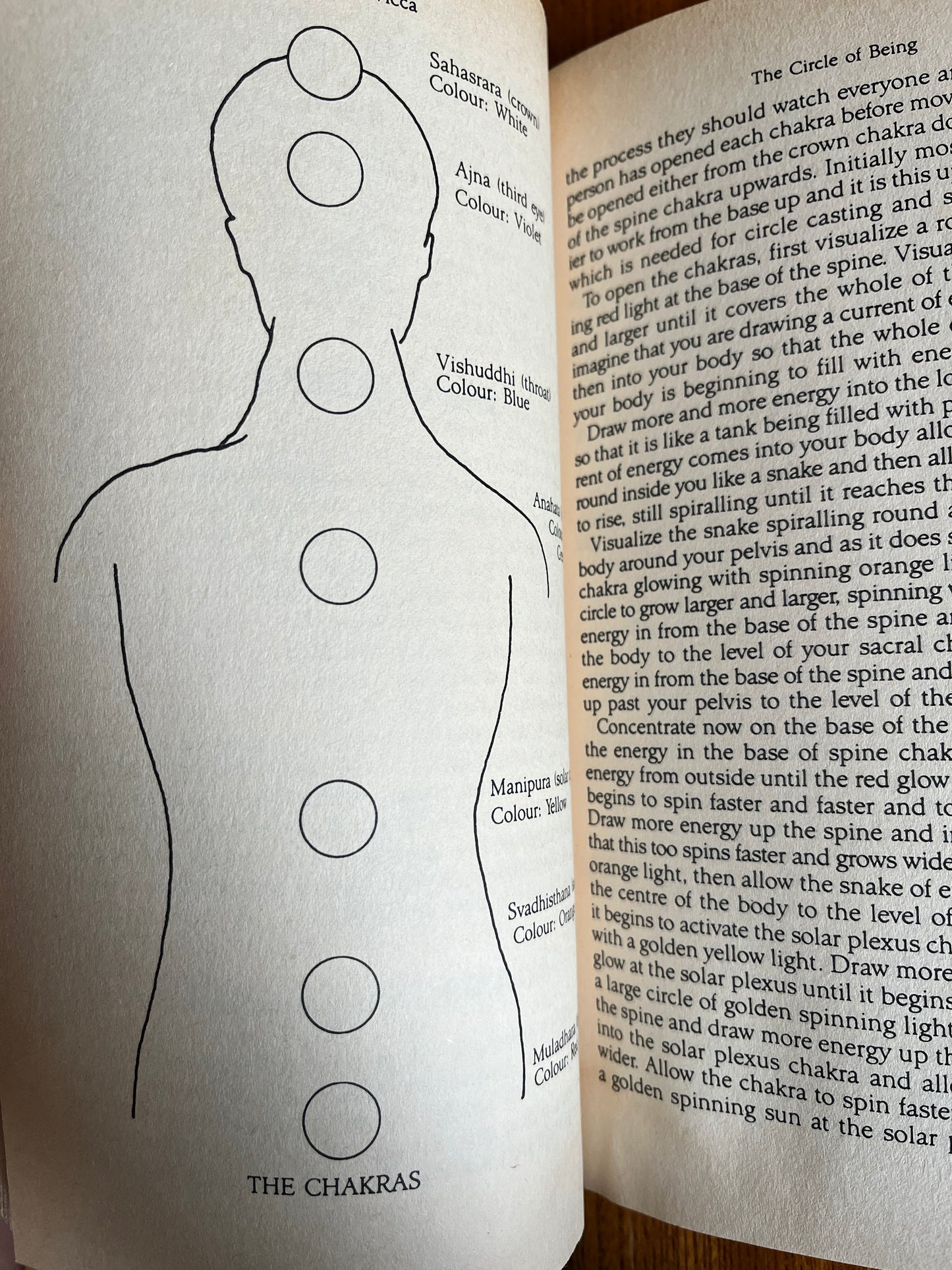 Wicca: The Old Religion in the New Age - Vivianne Crowley