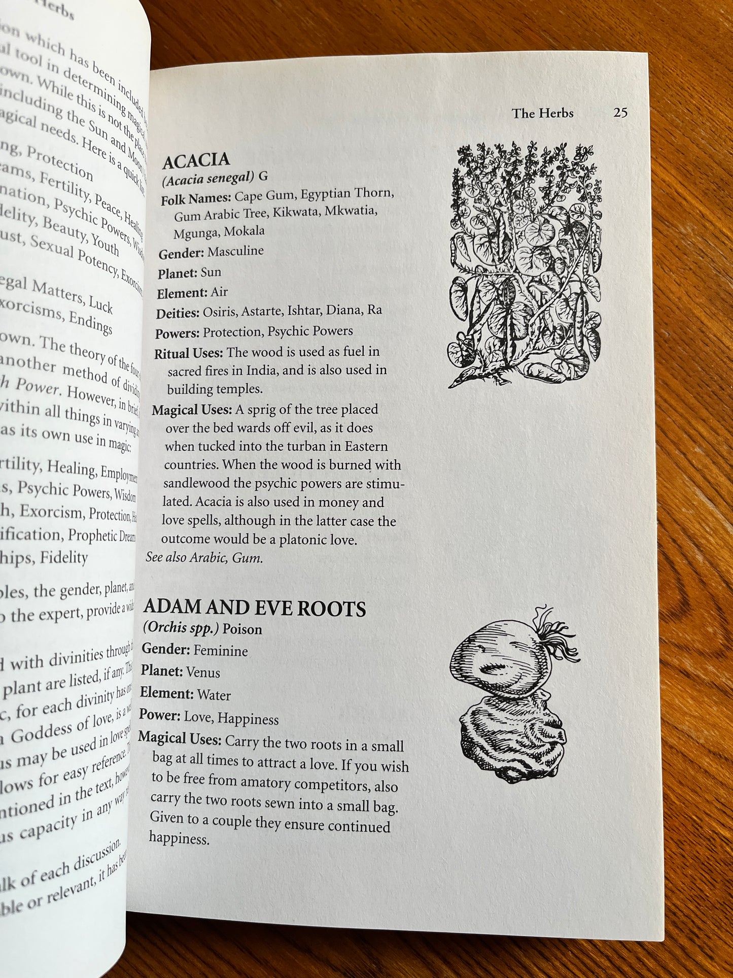 Cunningham's Encyclopedia of Magical Herbs - Scott Cunningham